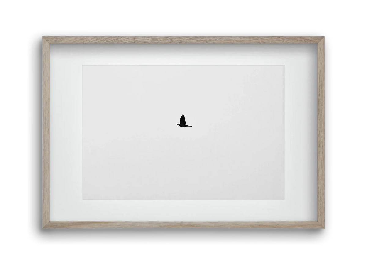 Sound - artbridge