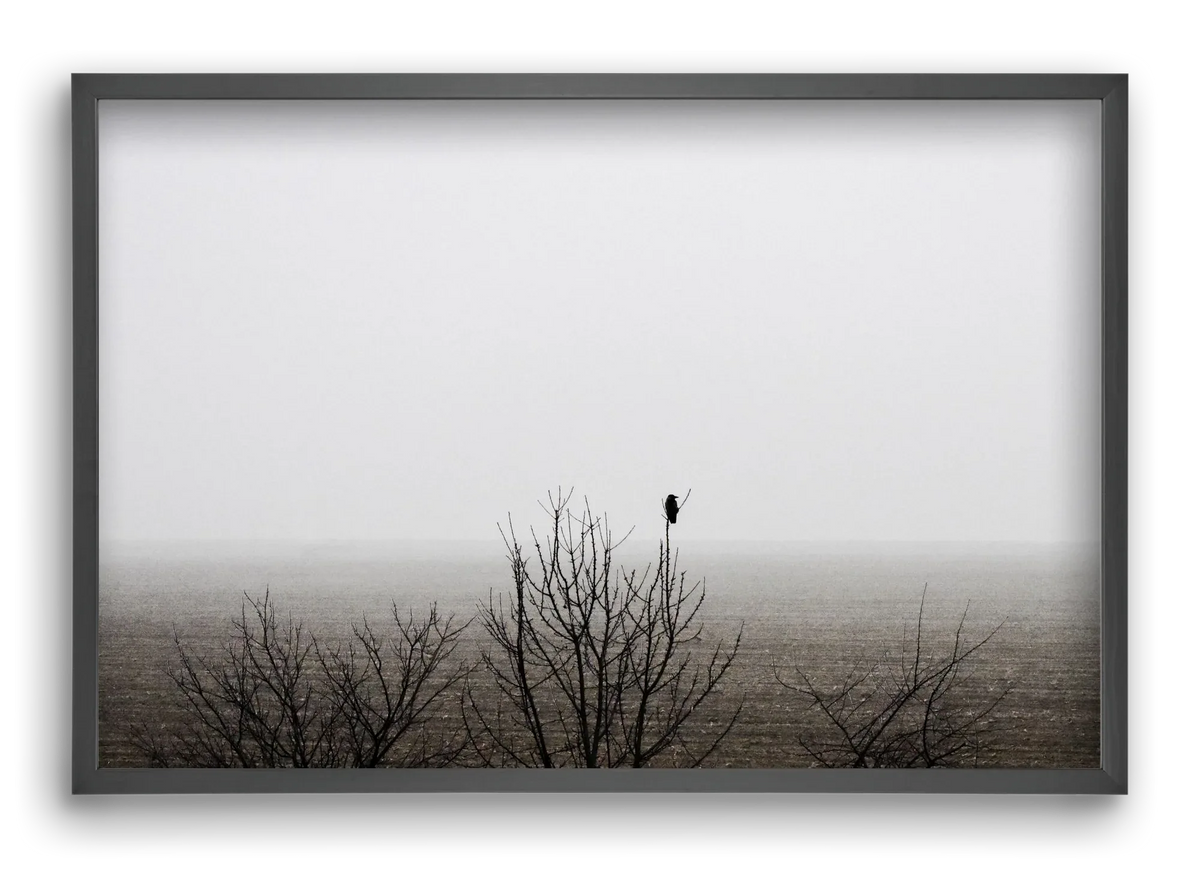home - artbridge