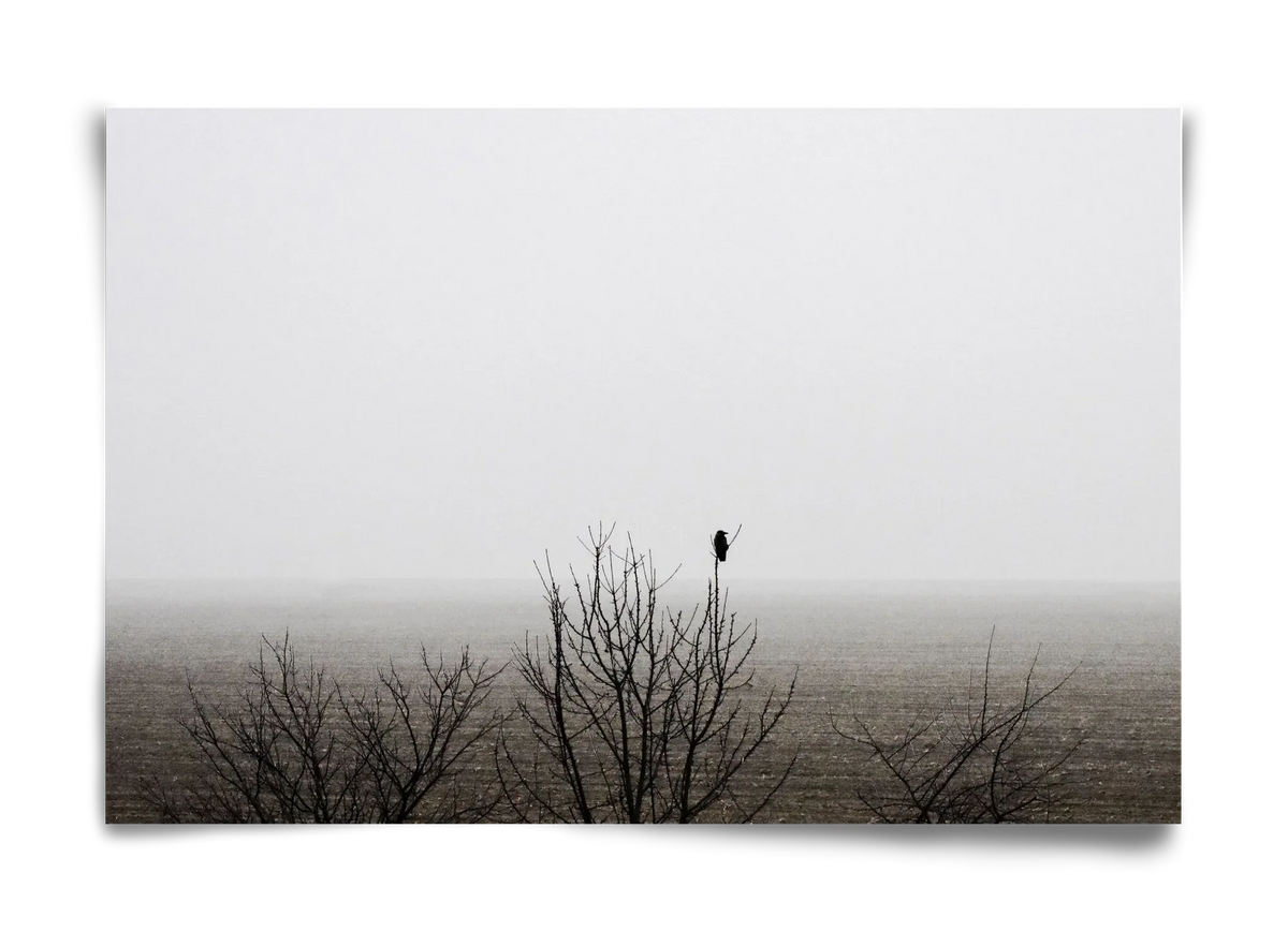 home - artbridge
