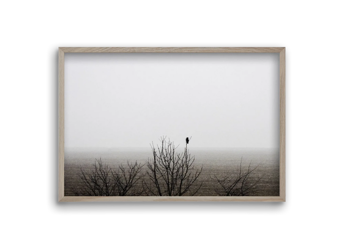 home - artbridge