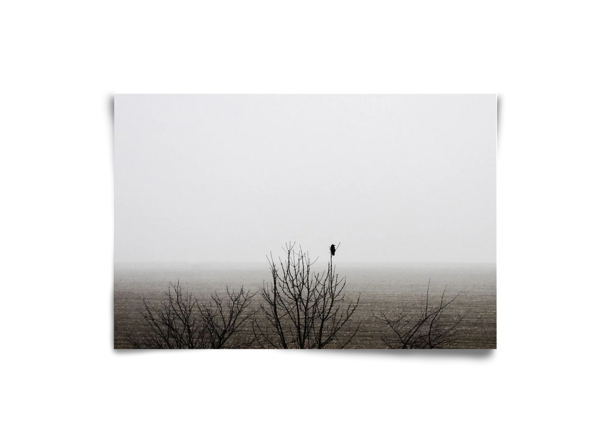 home - artbridge