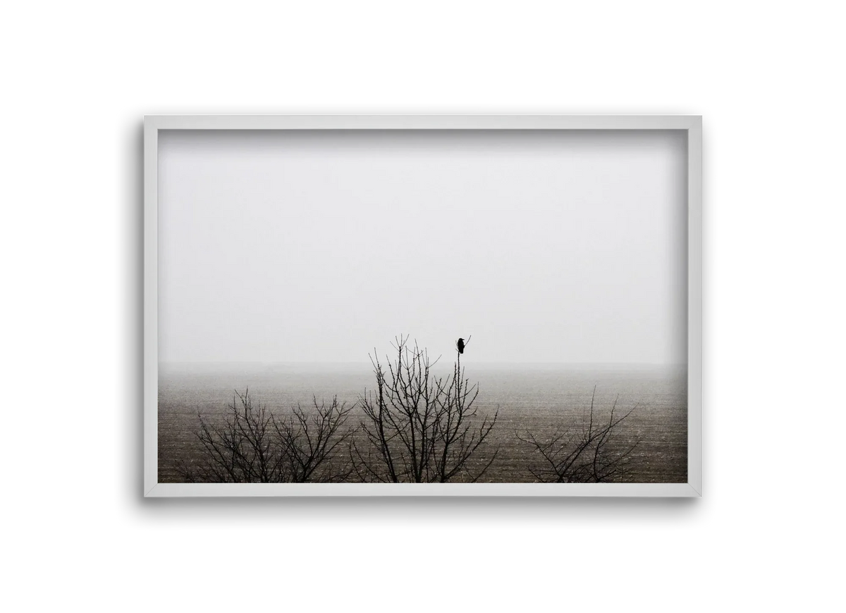 home - artbridge