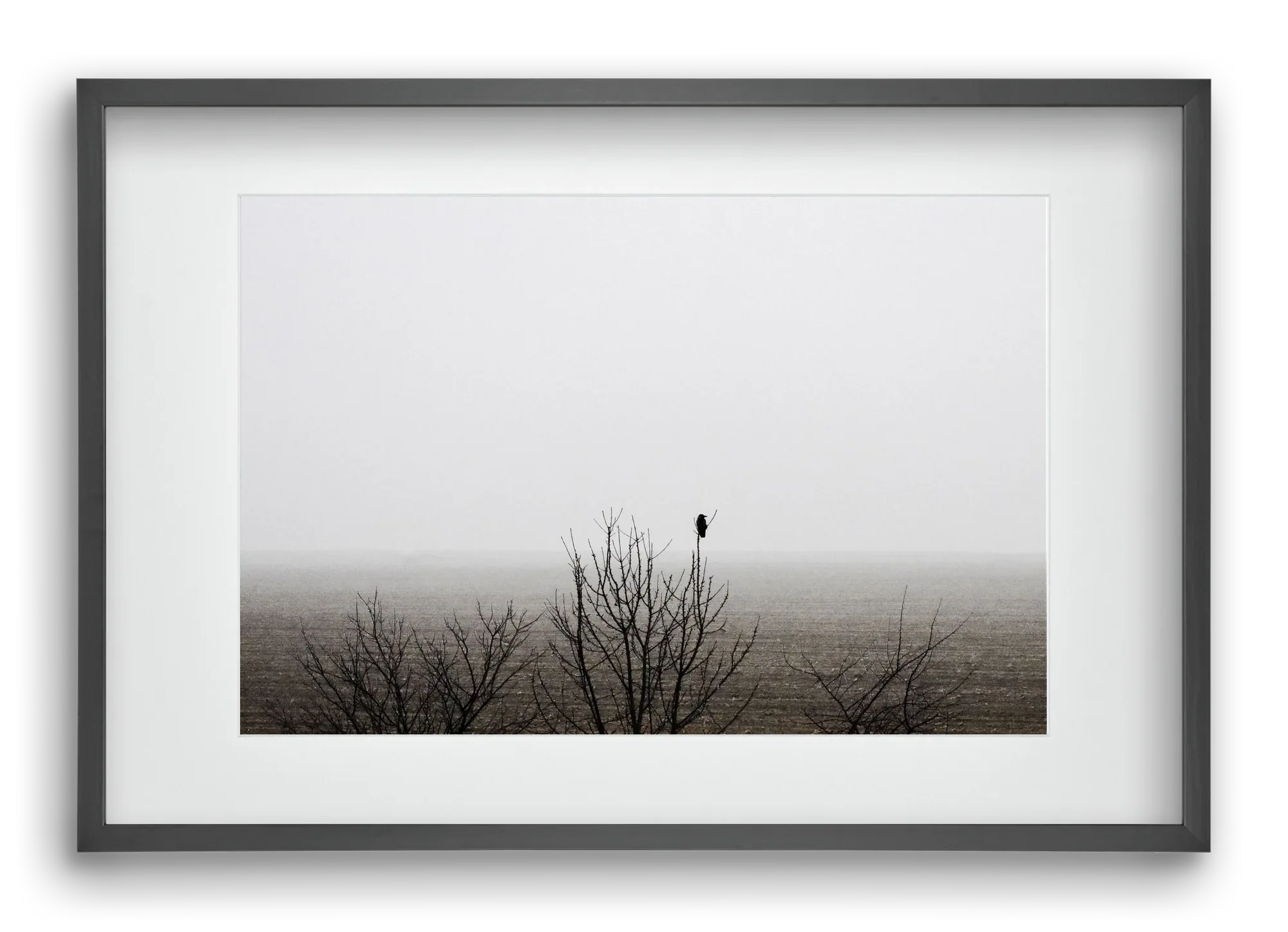 home - artbridge