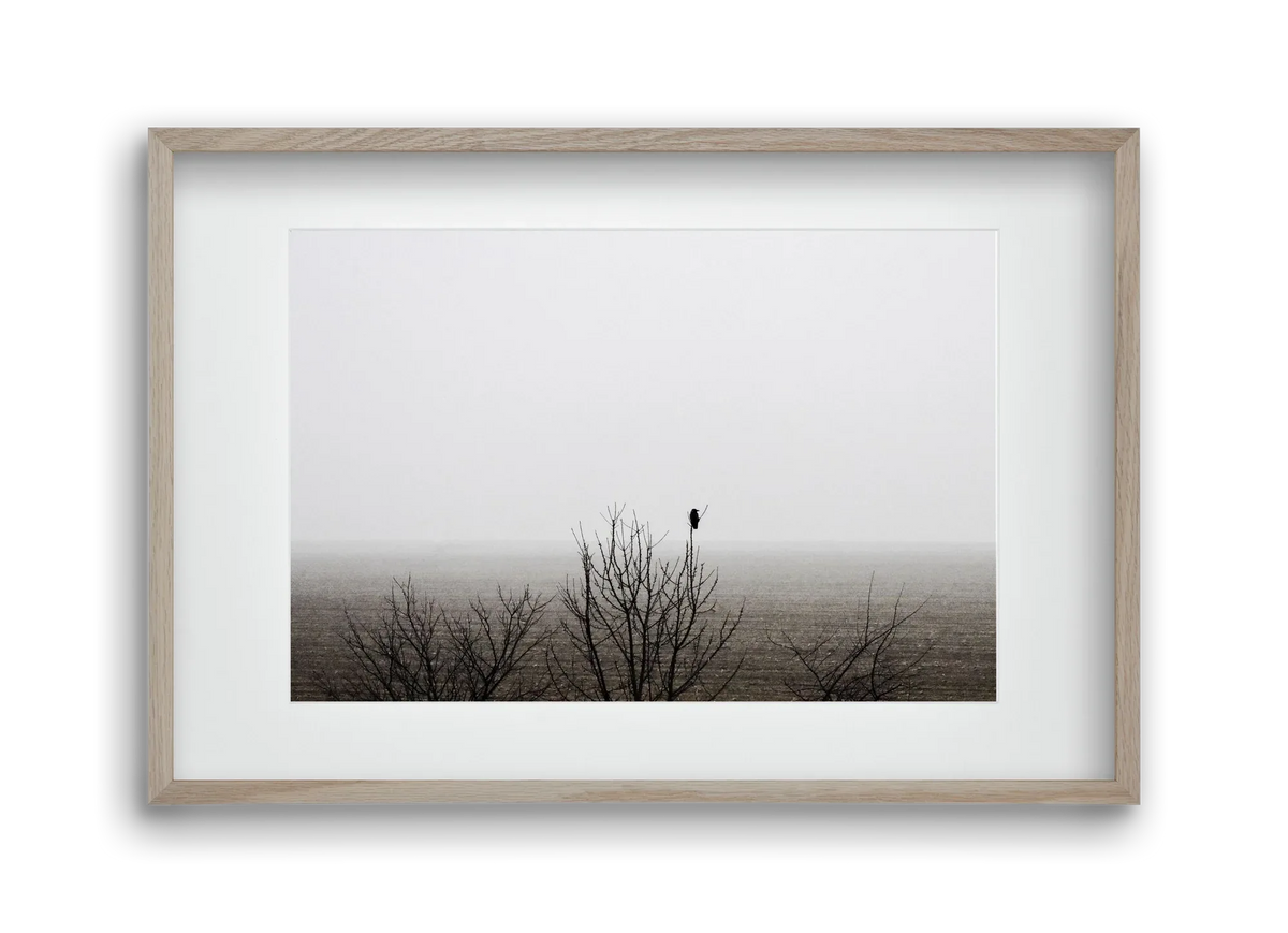 home - artbridge