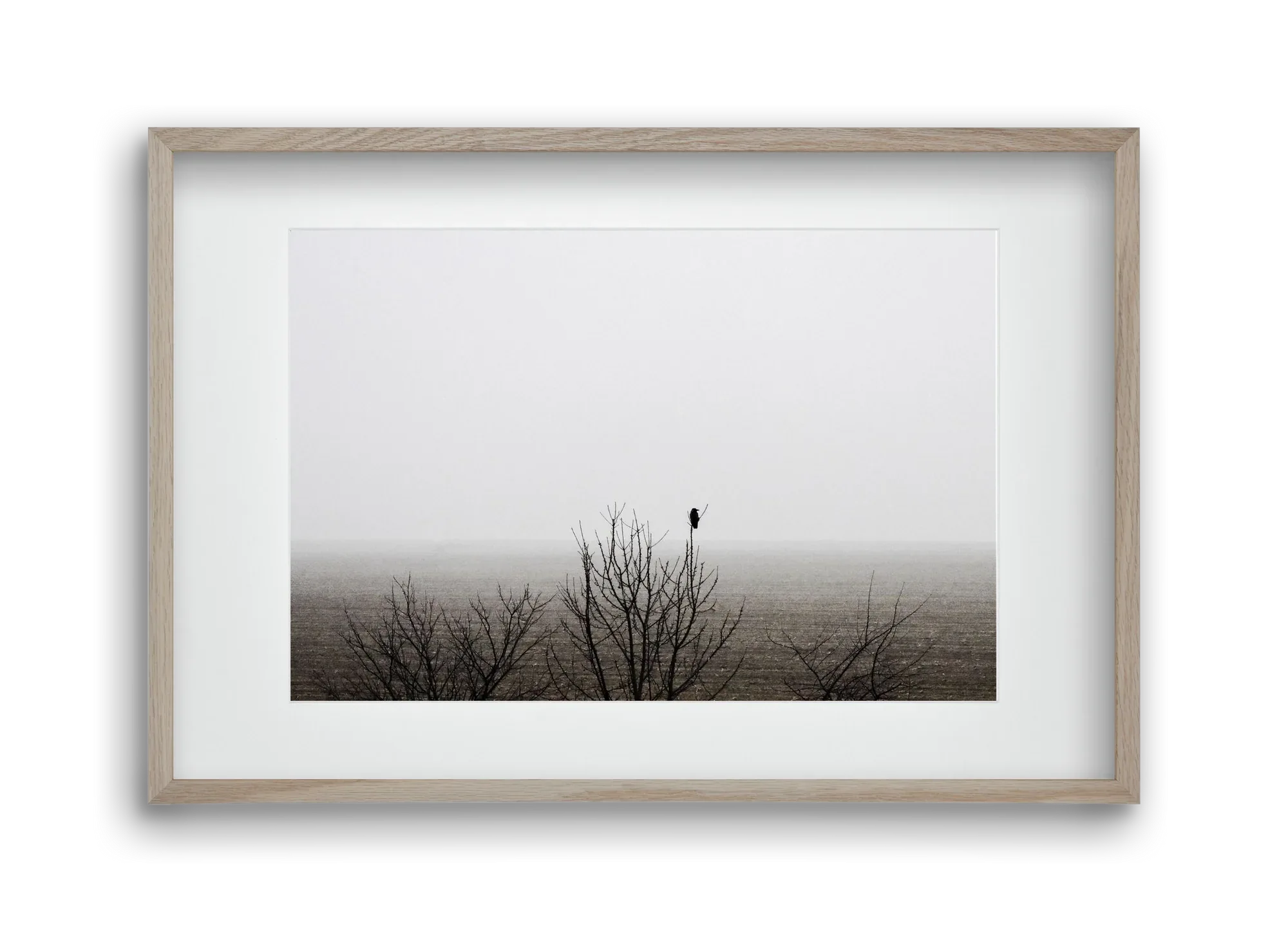 home - artbridge