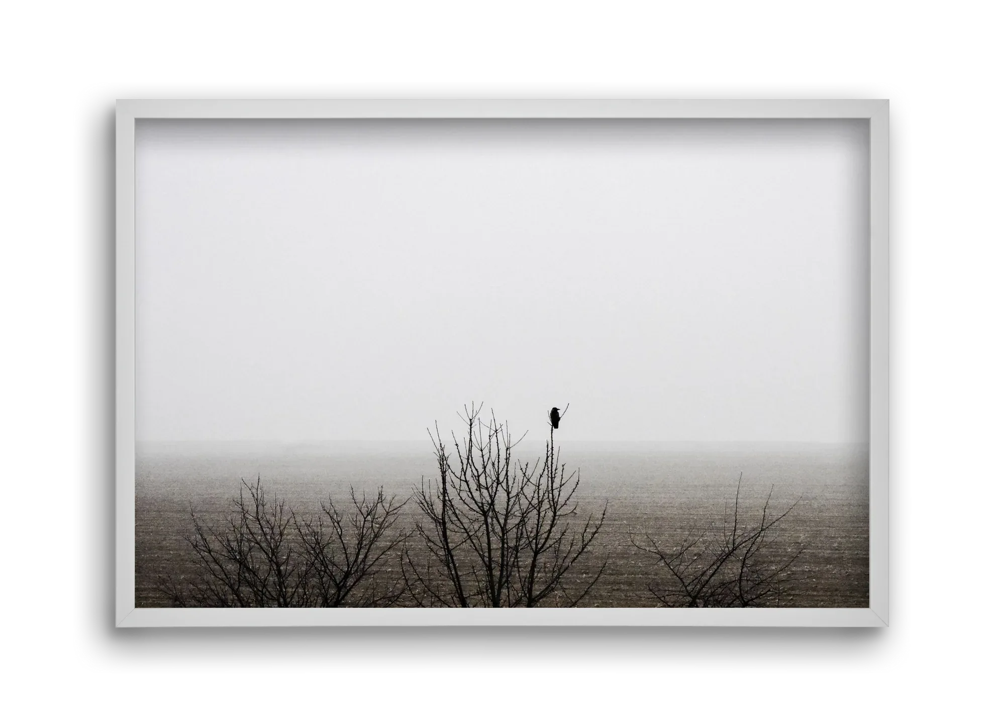 home - artbridge