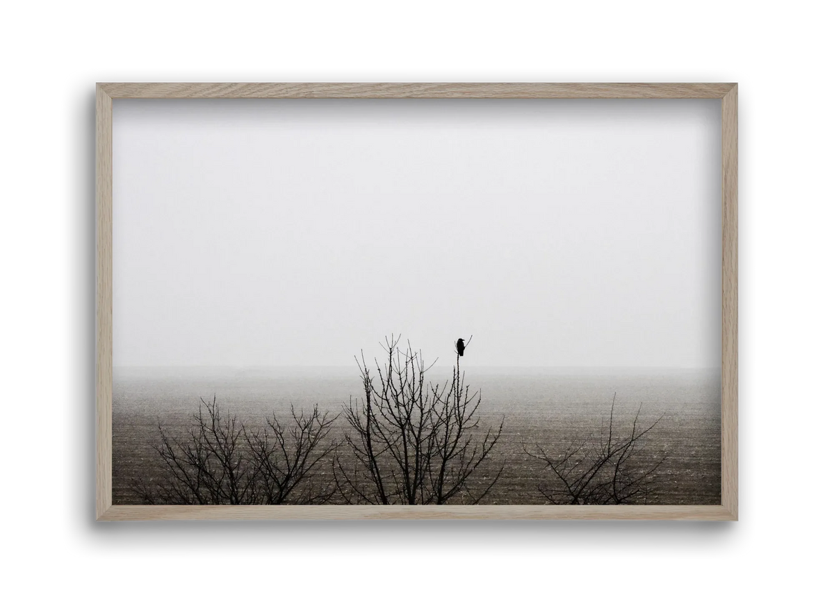 home - artbridge