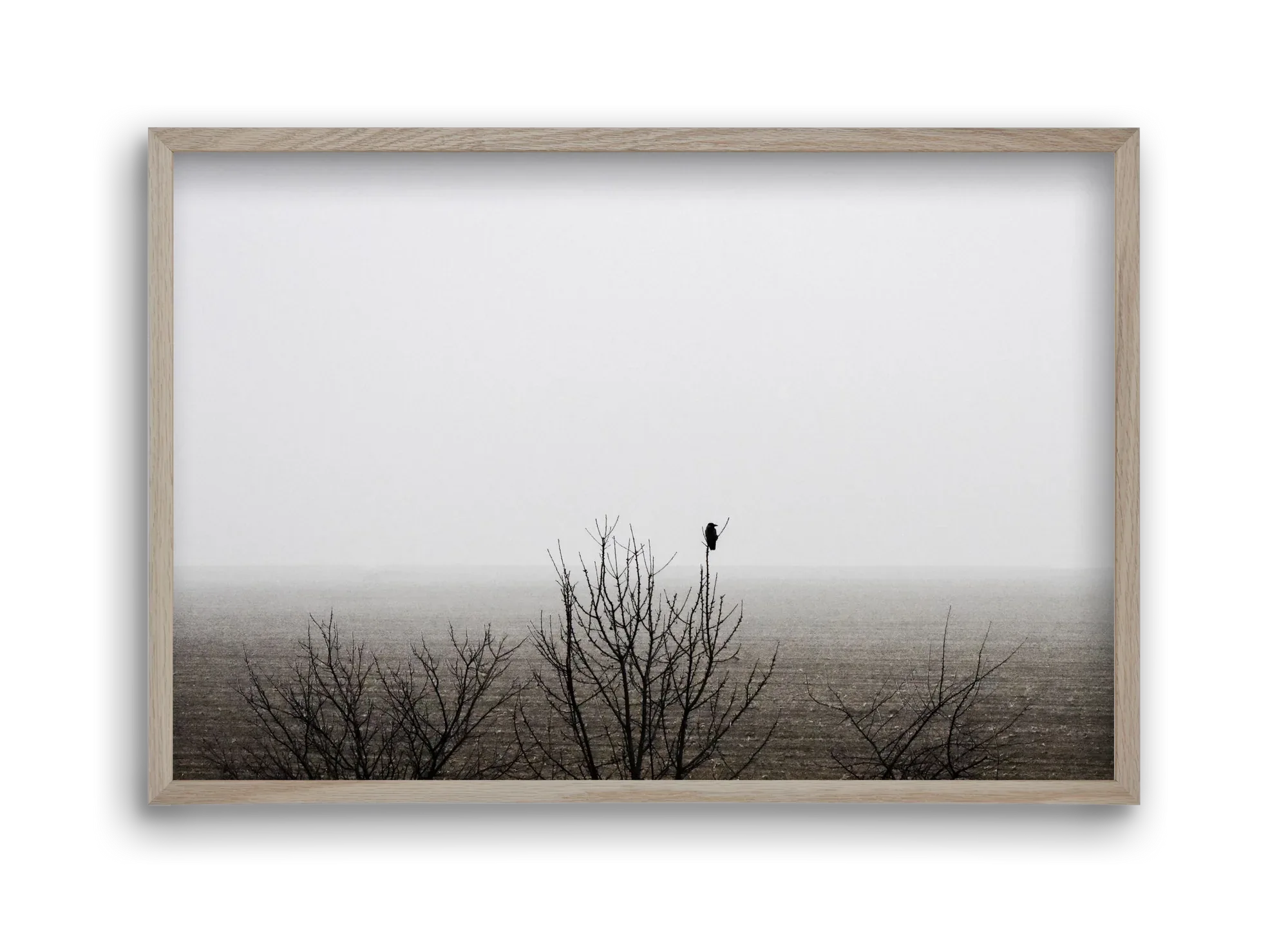 home - artbridge