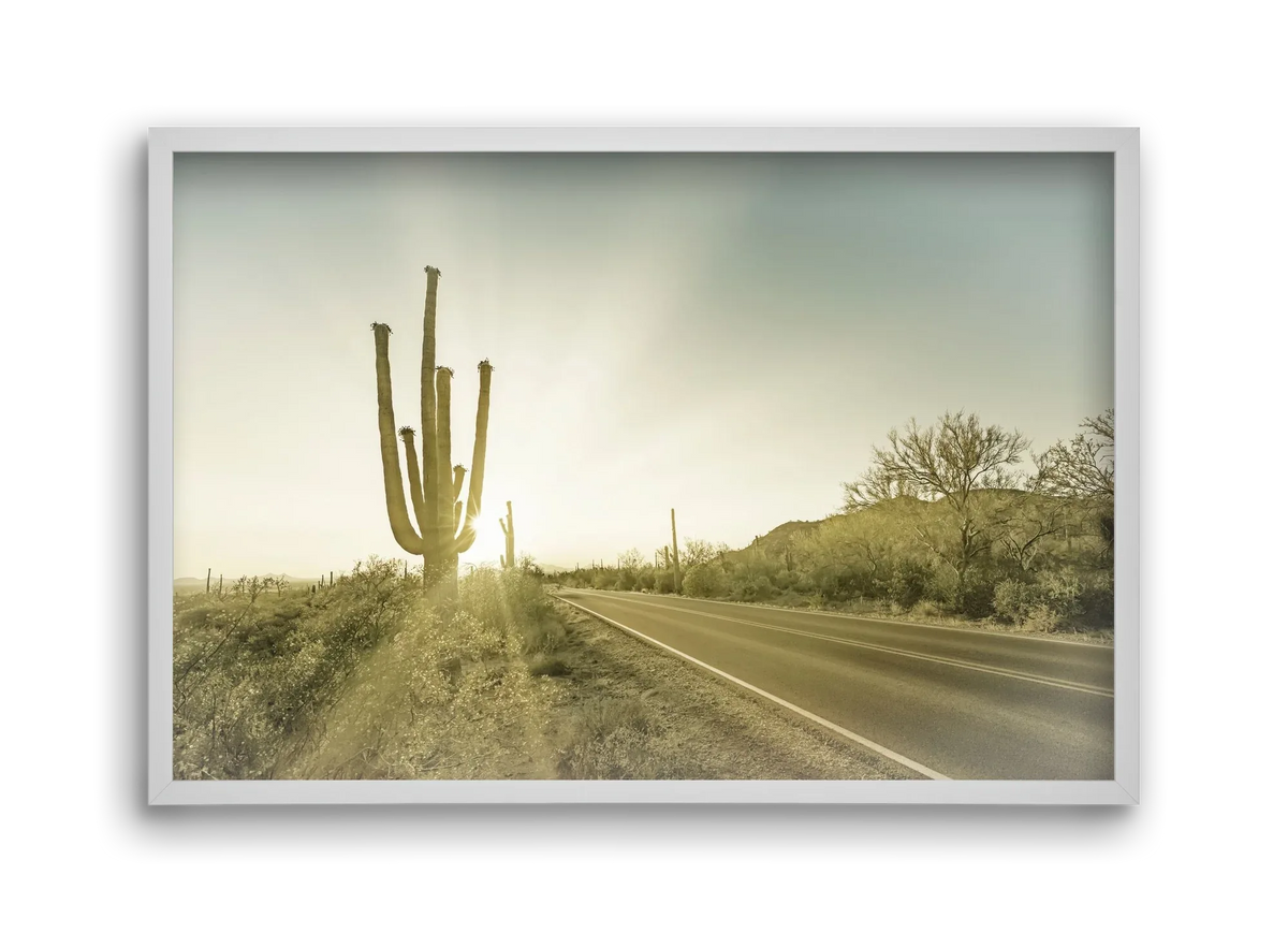 SAGUARO NATIONAL PARK Setting Sun | Vintage - artbridge