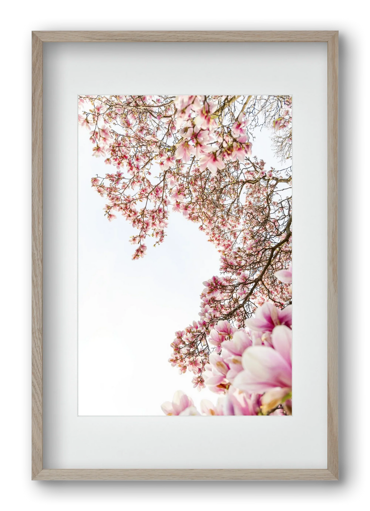 hello SPRING - artbridge
