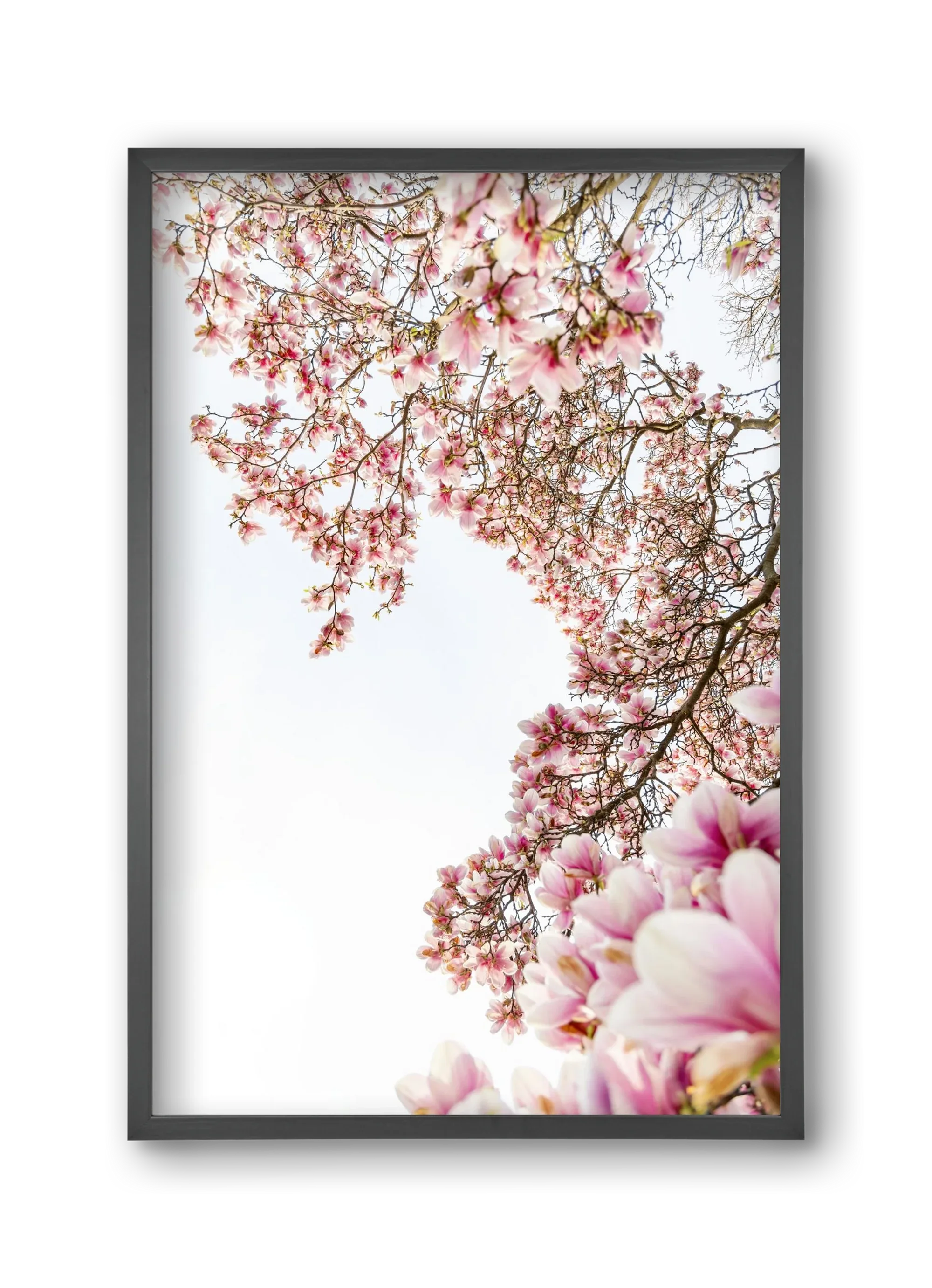 hello SPRING - artbridge