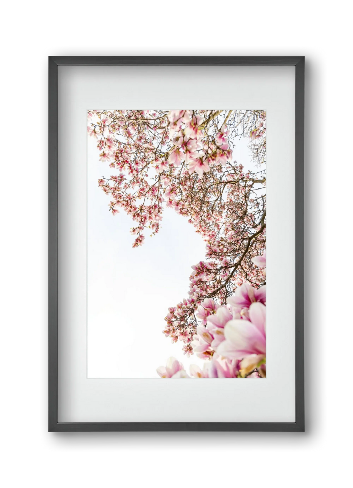 hello SPRING - artbridge