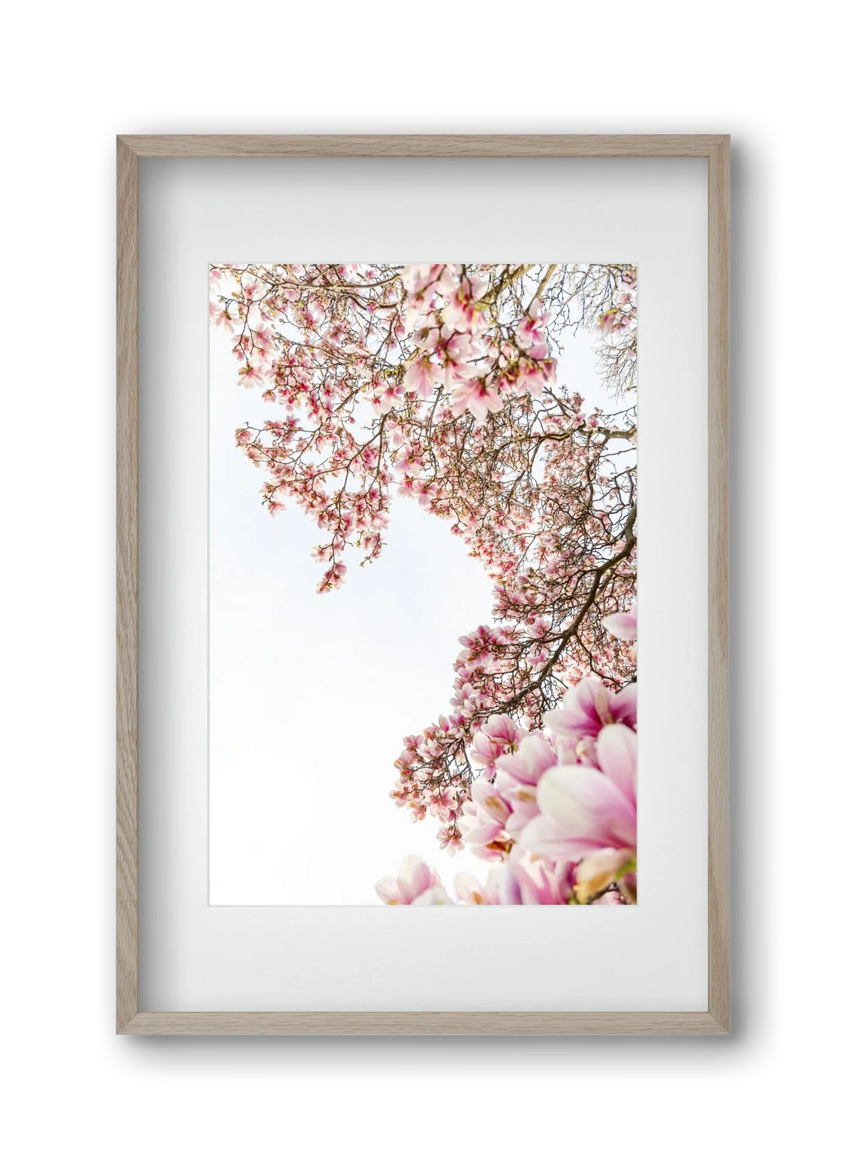 hello SPRING - artbridge
