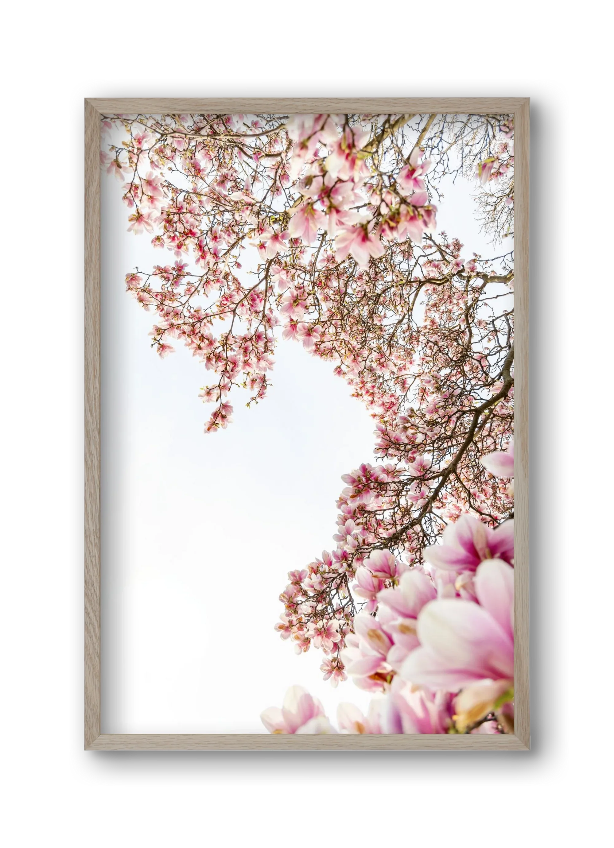 hello SPRING - artbridge