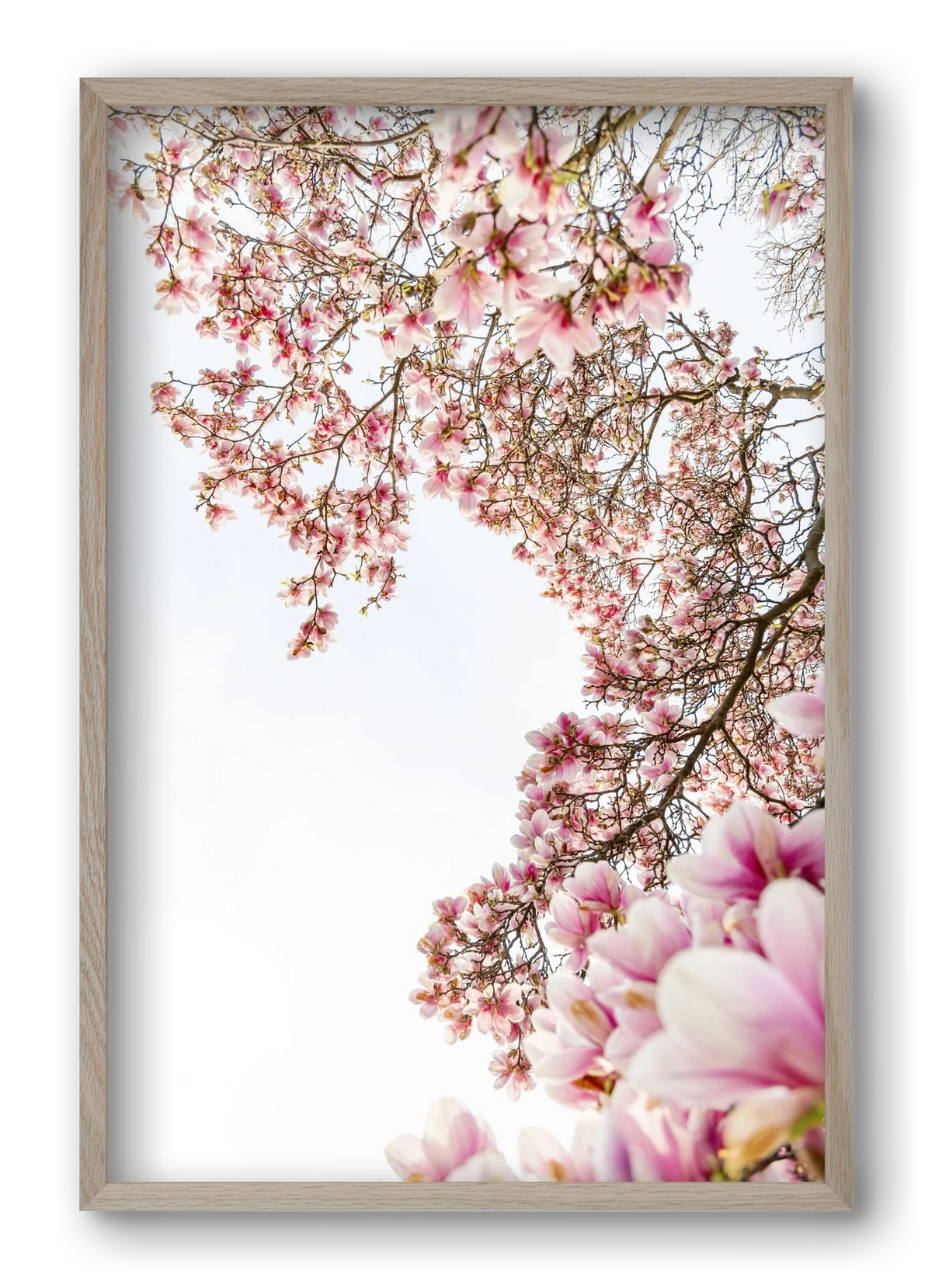 hello SPRING - artbridge
