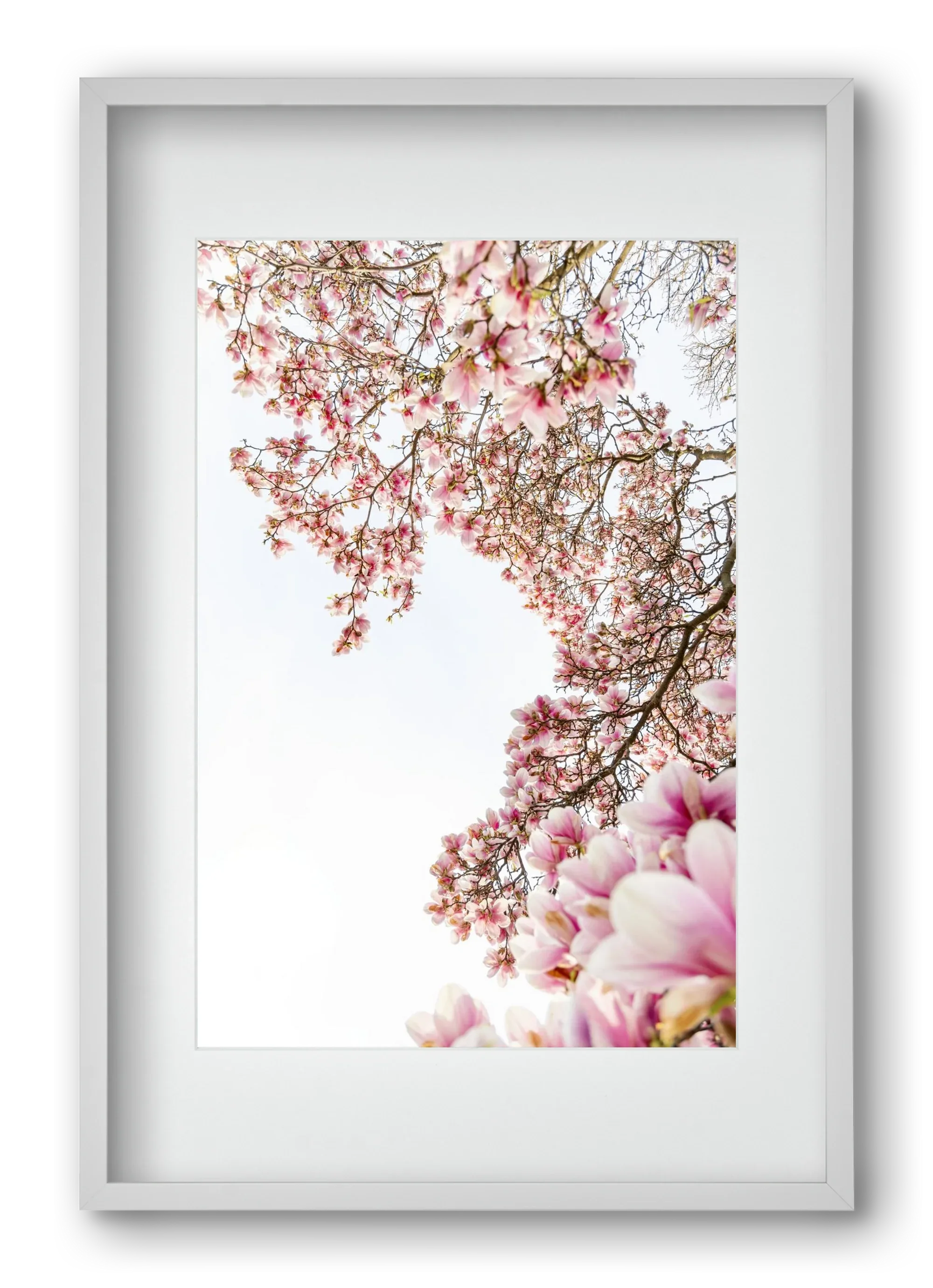 hello SPRING - artbridge