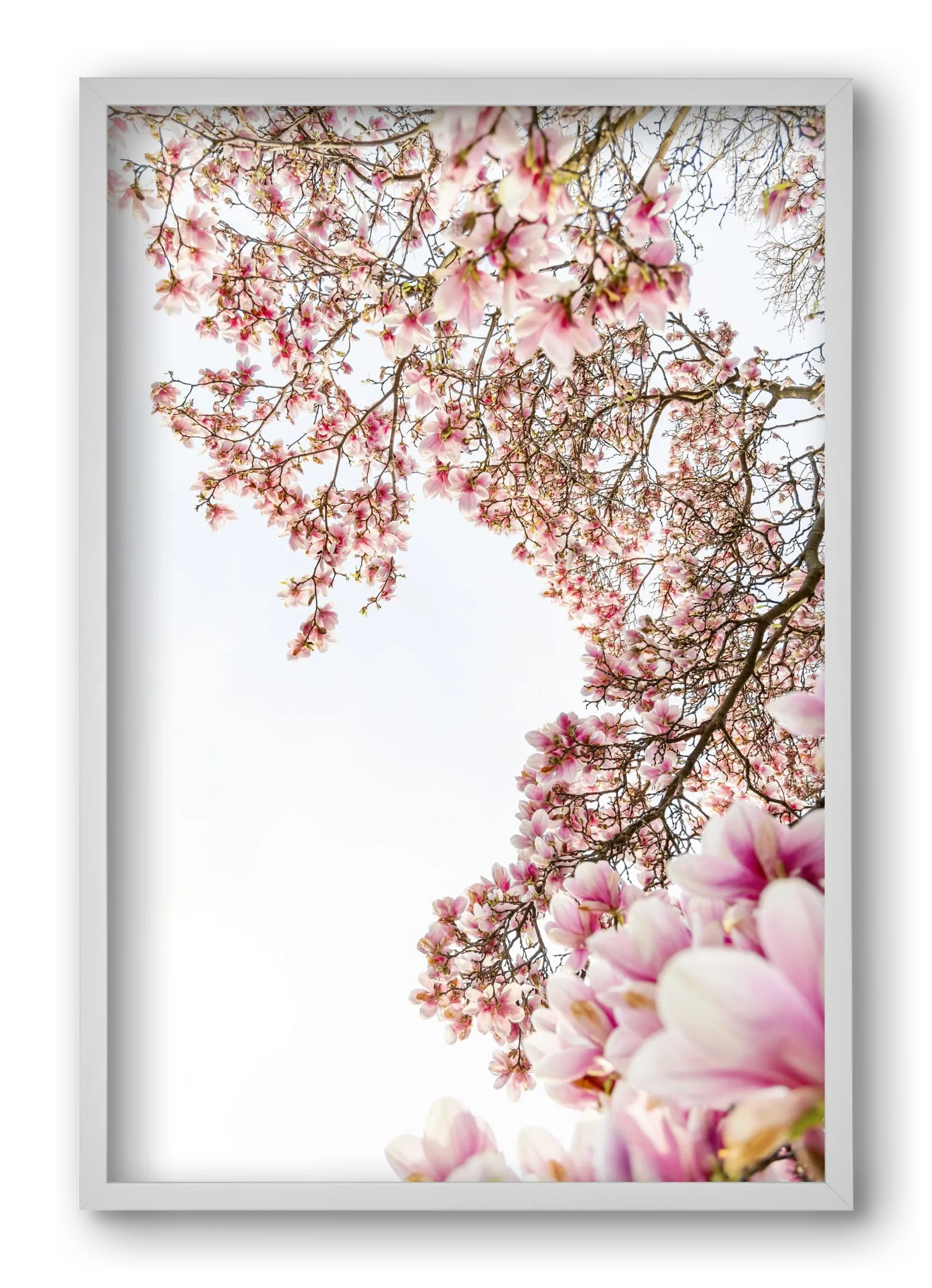 hello SPRING - artbridge
