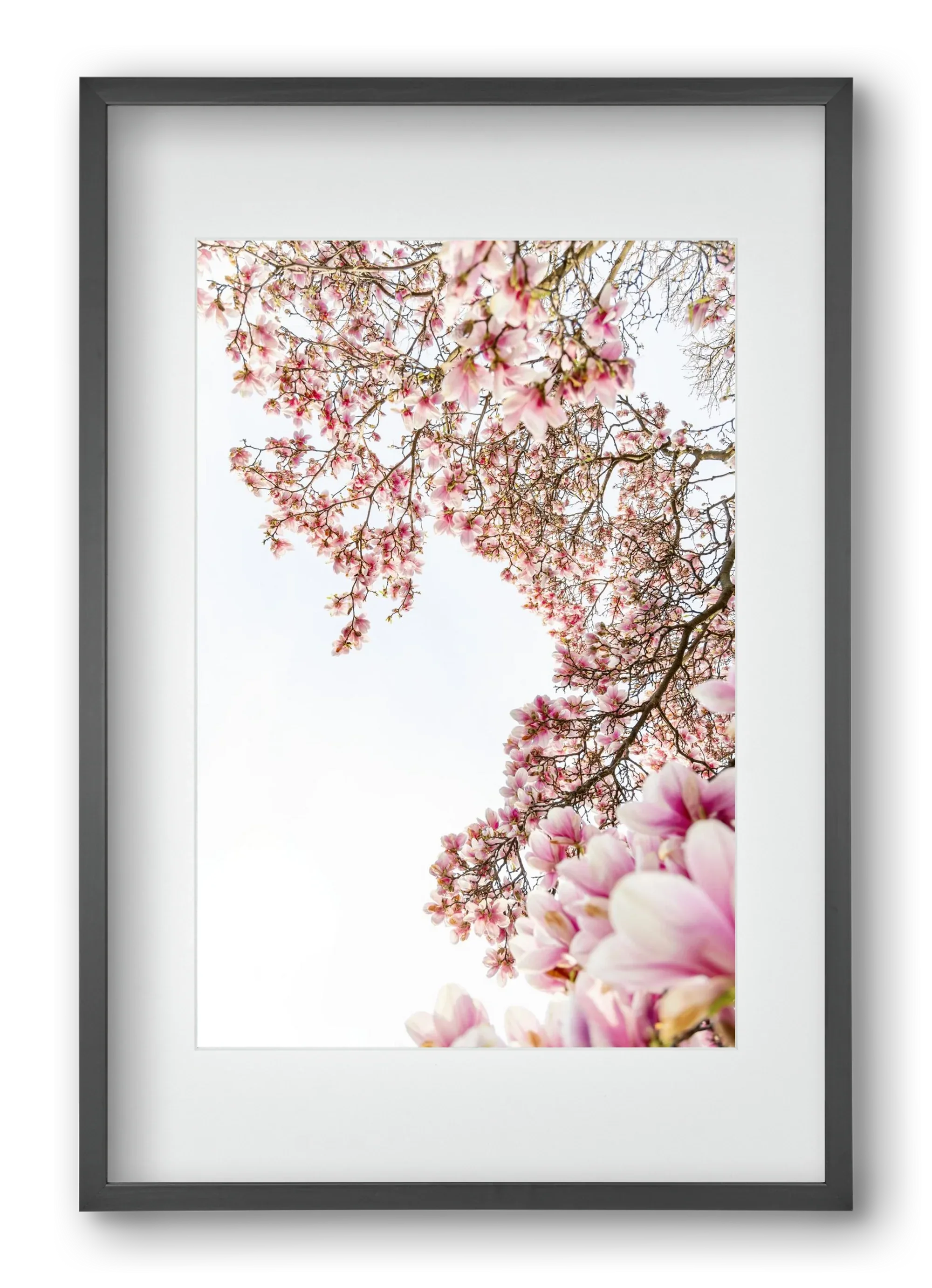 hello SPRING - artbridge