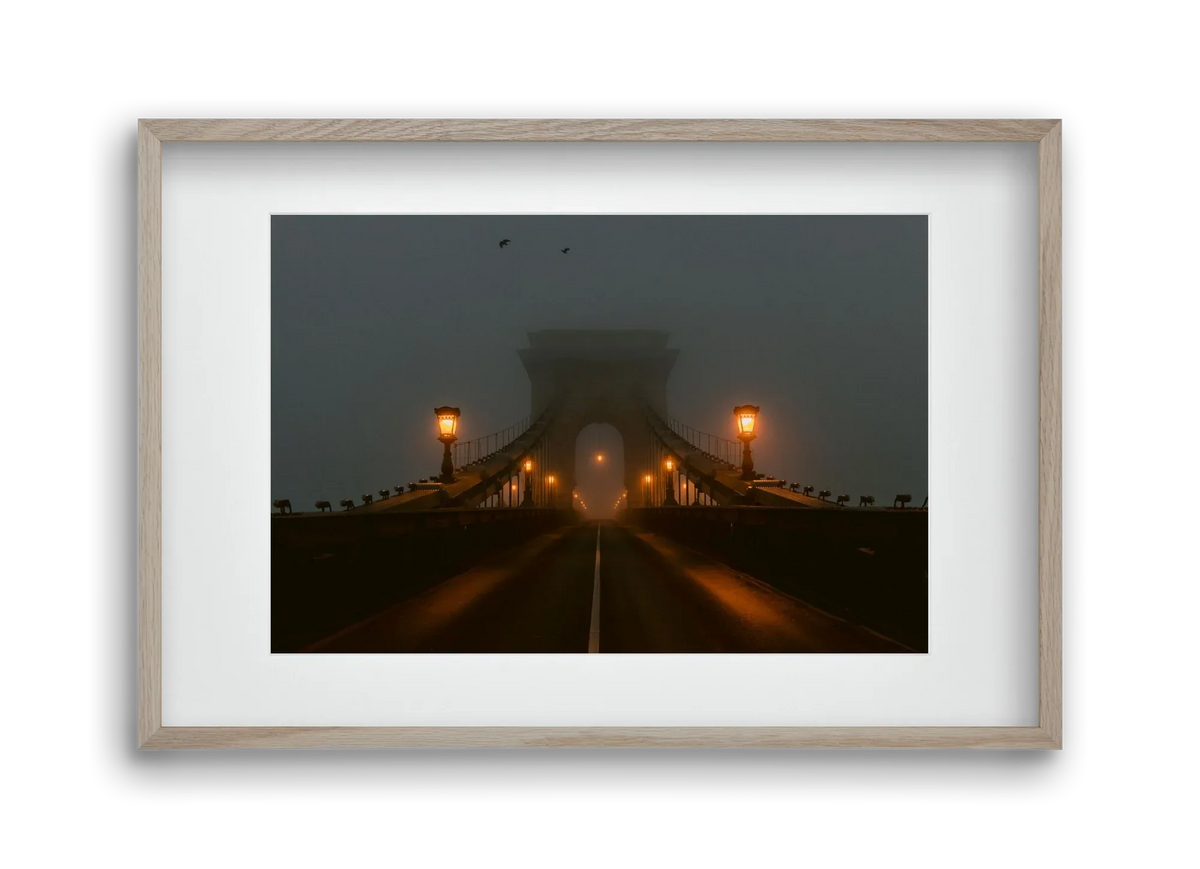 Foggy morning - artbridge