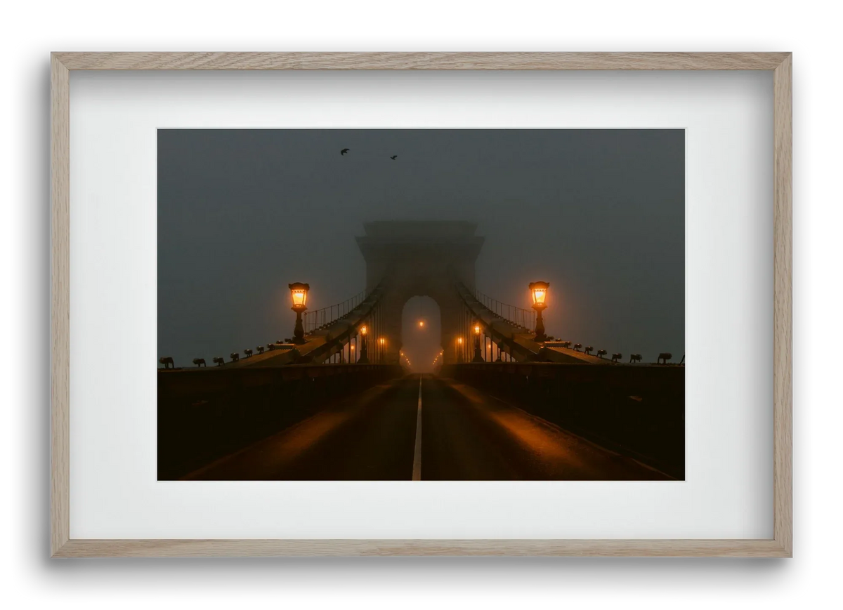 Foggy morning - artbridge