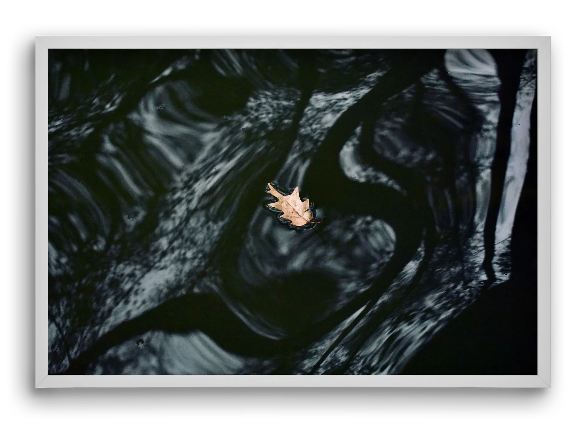 water philosophy - artbridge