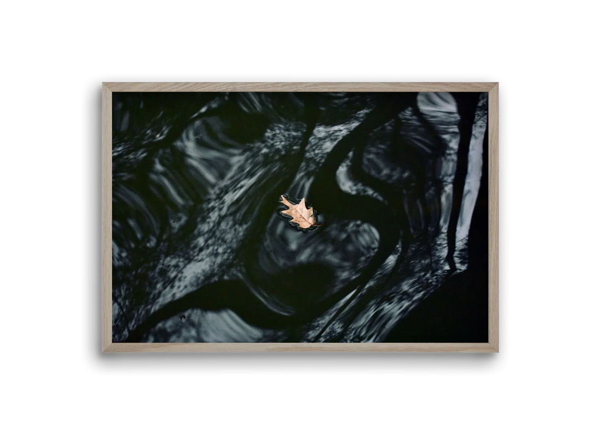 water philosophy - artbridge