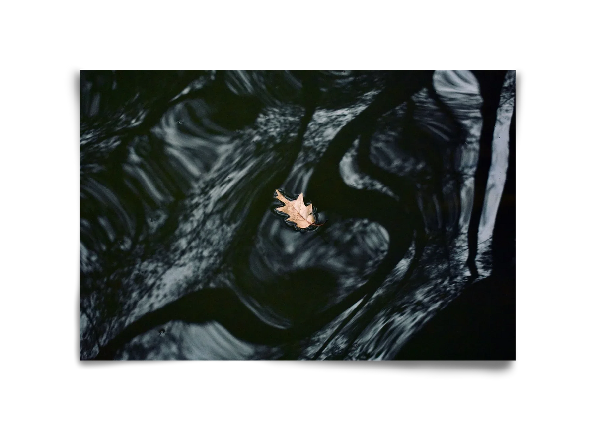 water philosophy - artbridge