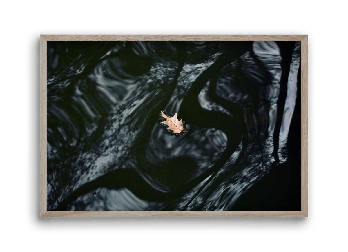water philosophy - artbridge