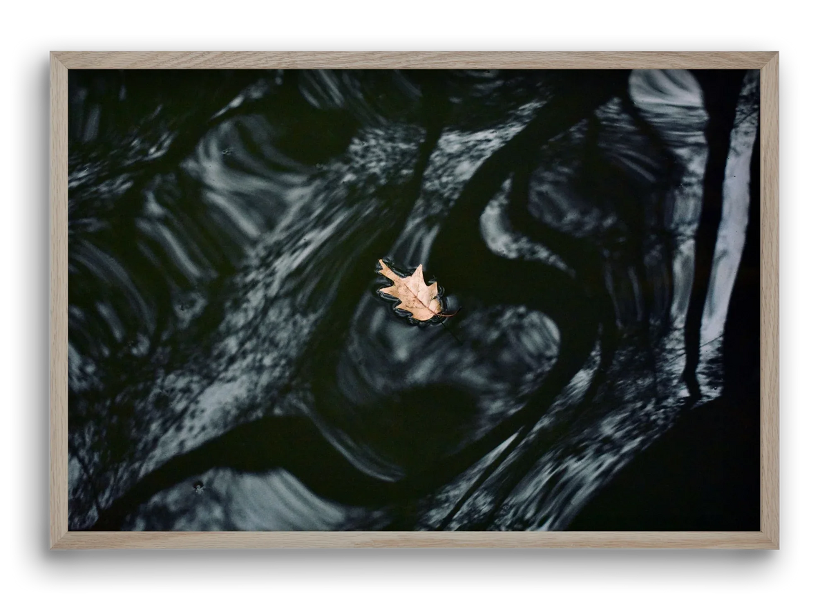 water philosophy - artbridge