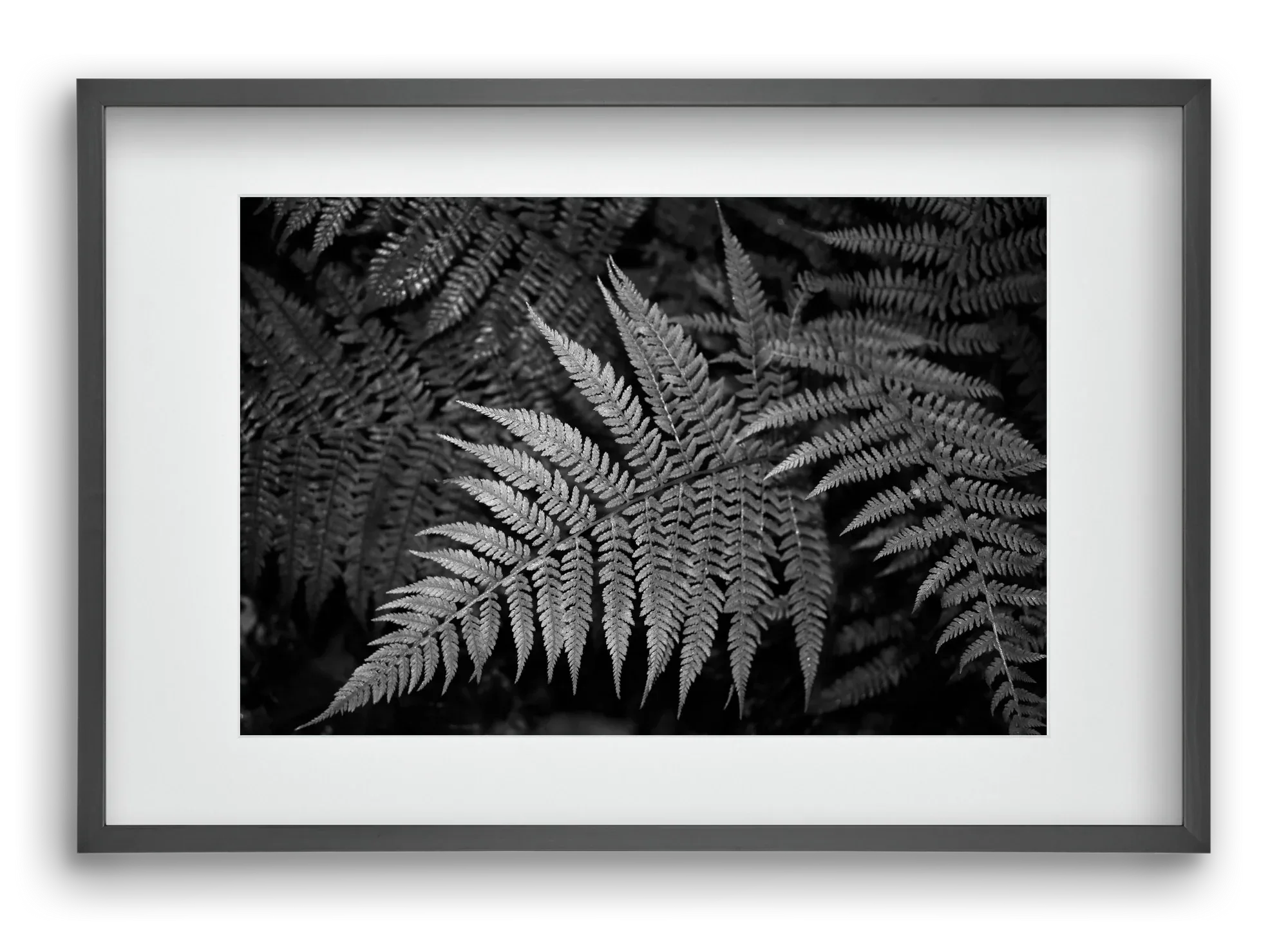 bracken joy - artbridge