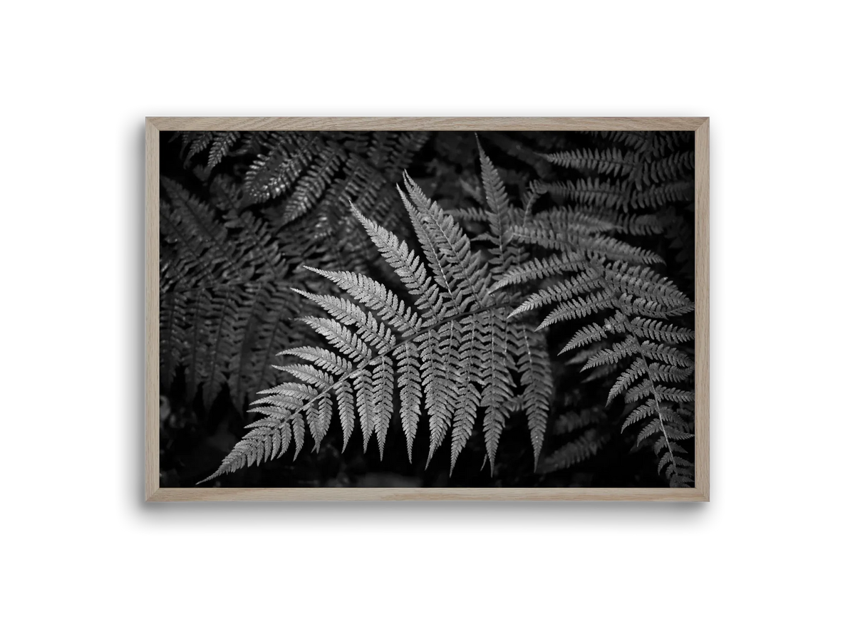 bracken joy - artbridge