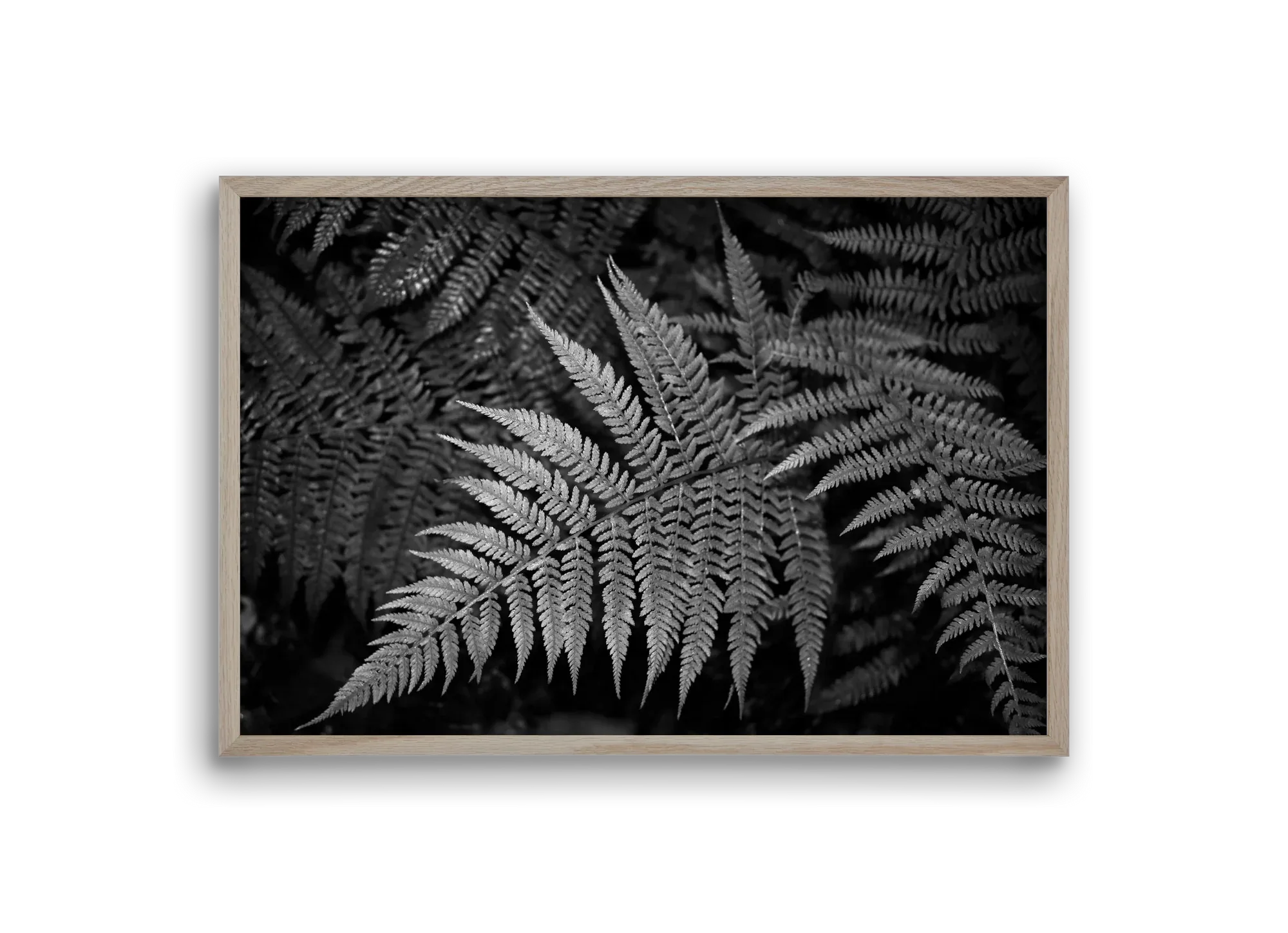 bracken joy - artbridge