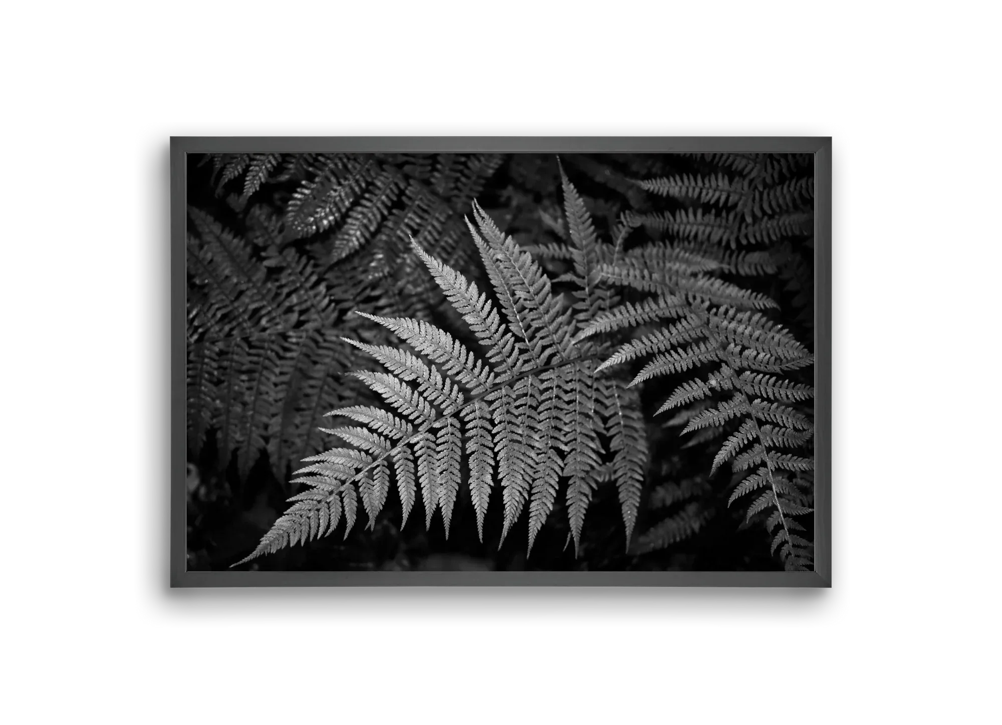 bracken joy - artbridge