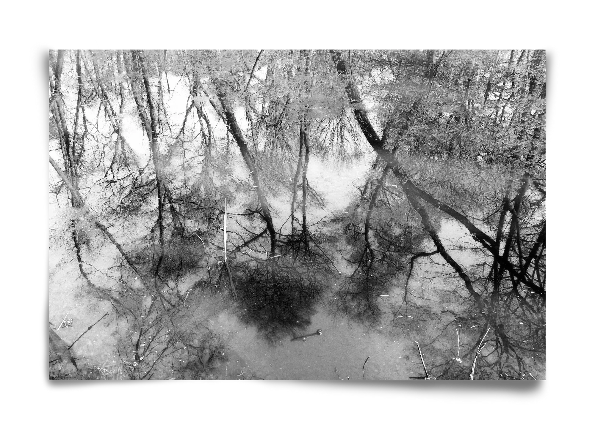 gloominess - artbridge