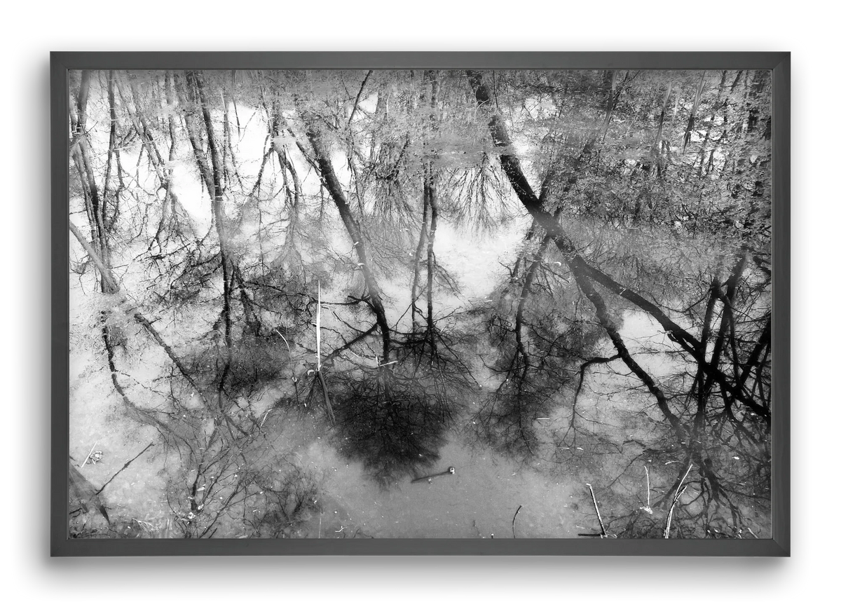 gloominess - artbridge