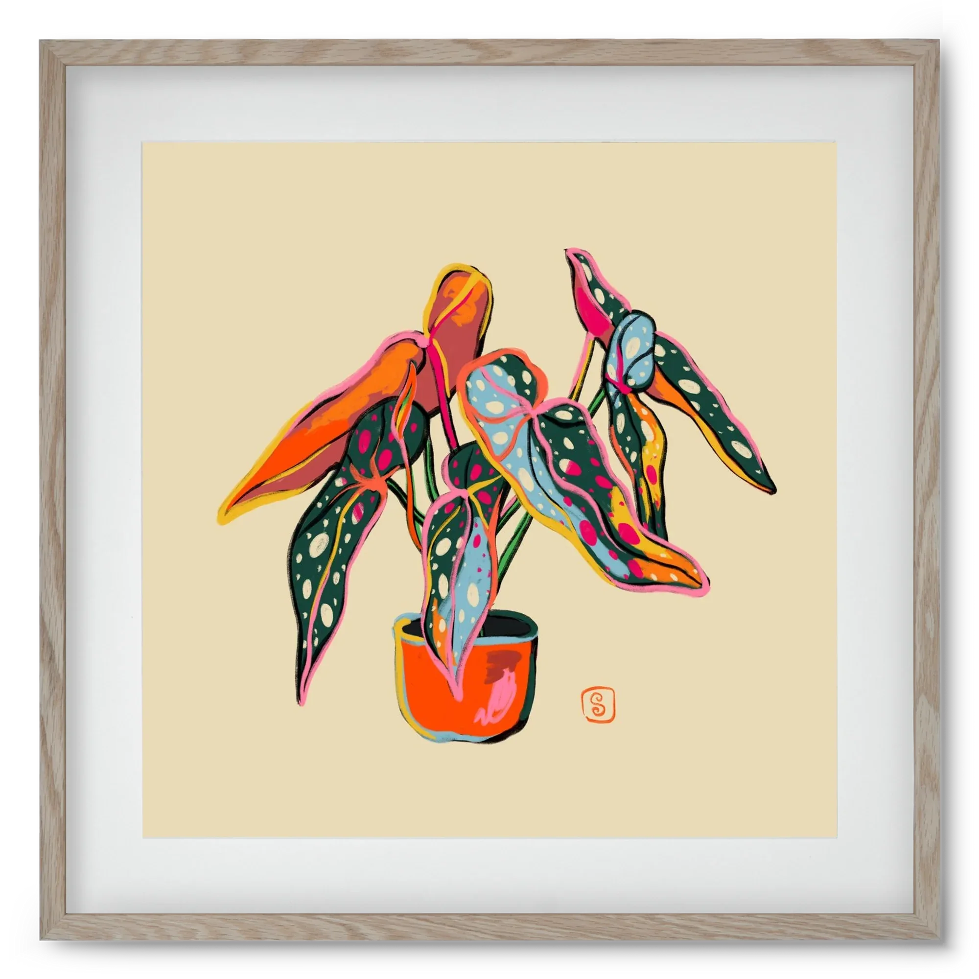 COLOURFUL BEGONIA PLANT - artbridge