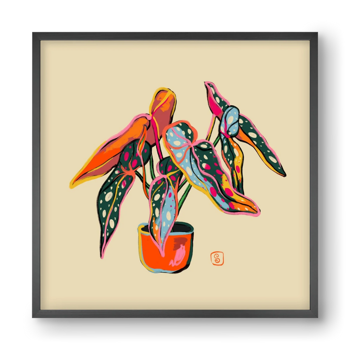 COLOURFUL BEGONIA PLANT - artbridge