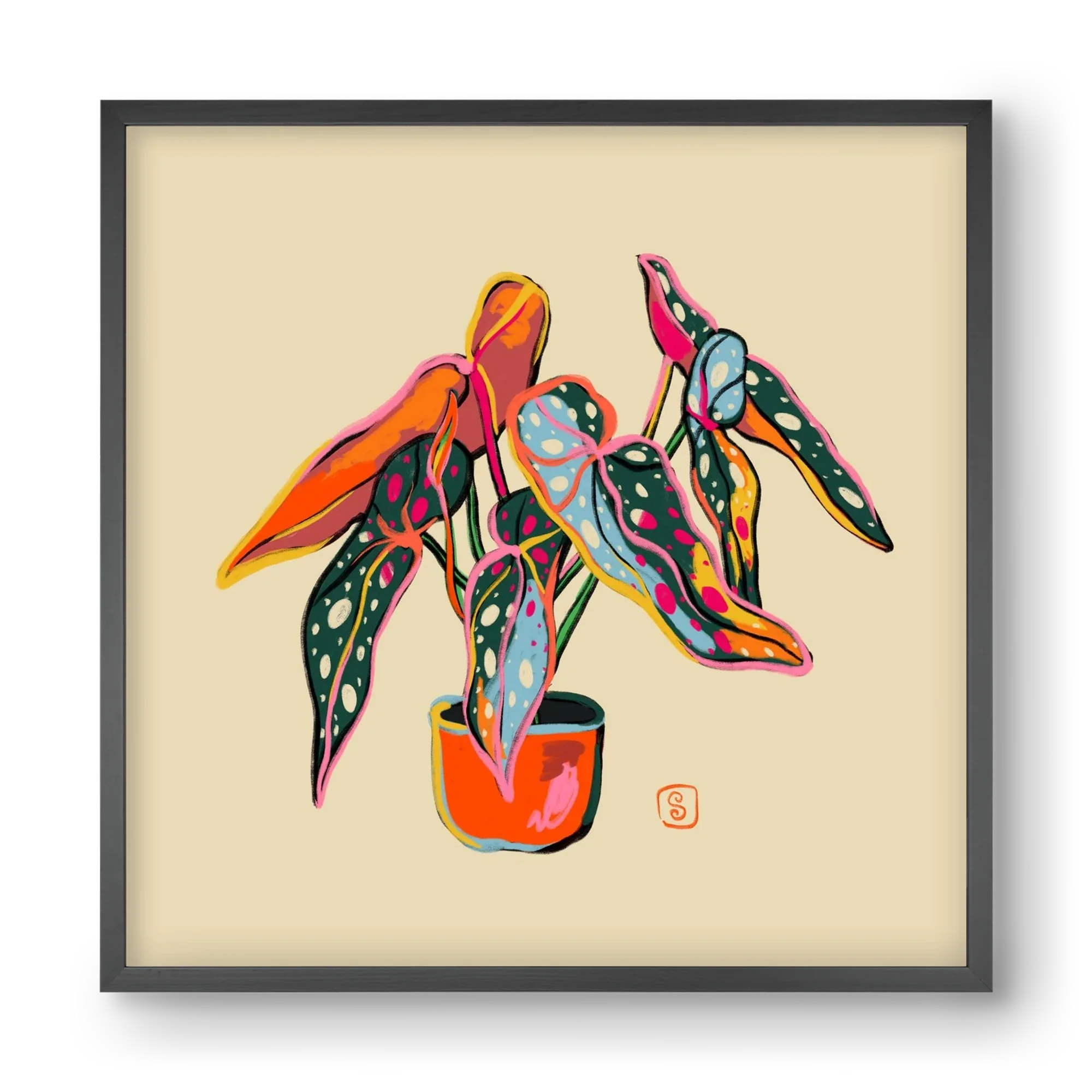 COLOURFUL BEGONIA PLANT - artbridge