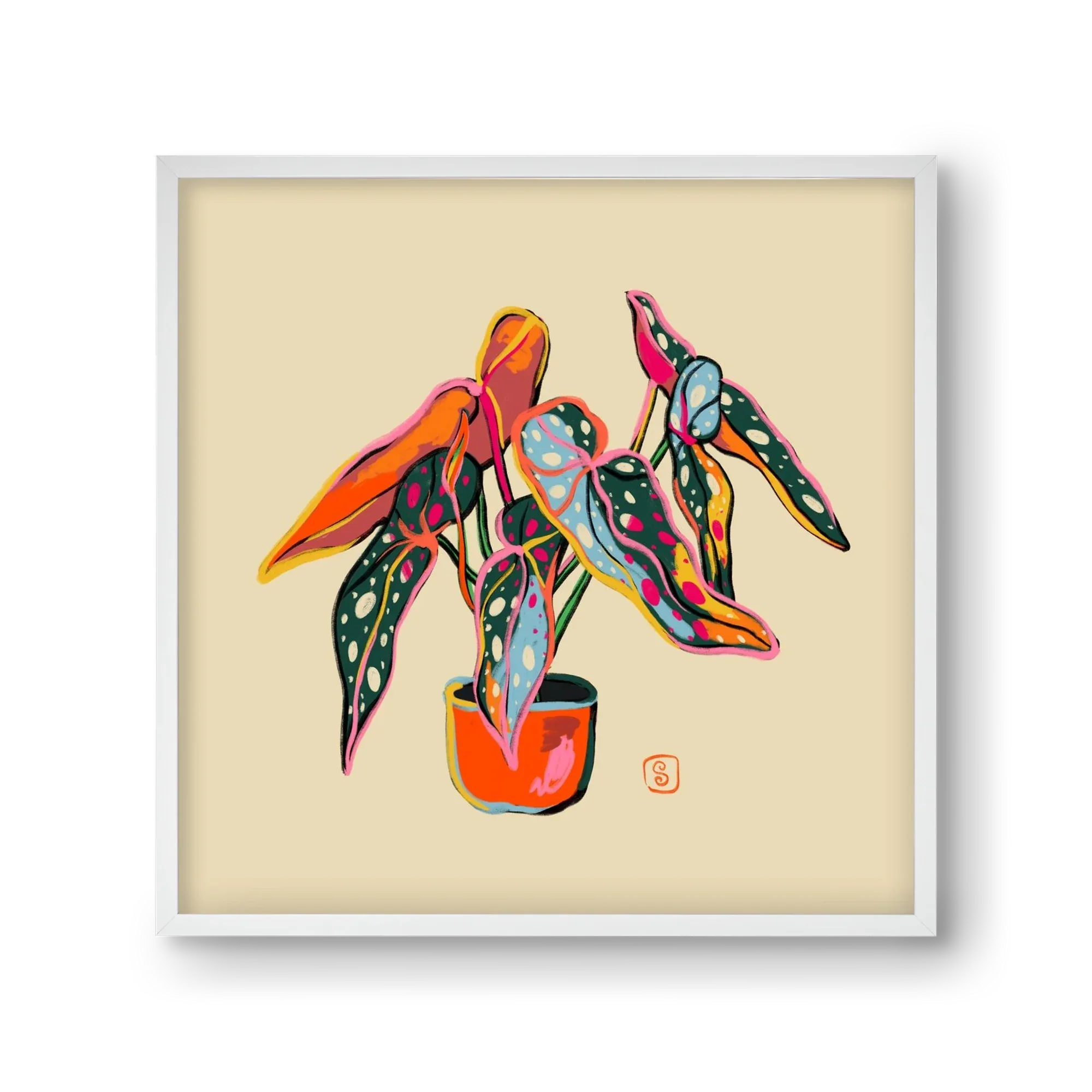 COLOURFUL BEGONIA PLANT - artbridge