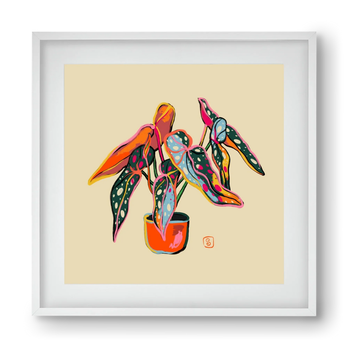 COLOURFUL BEGONIA PLANT - artbridge
