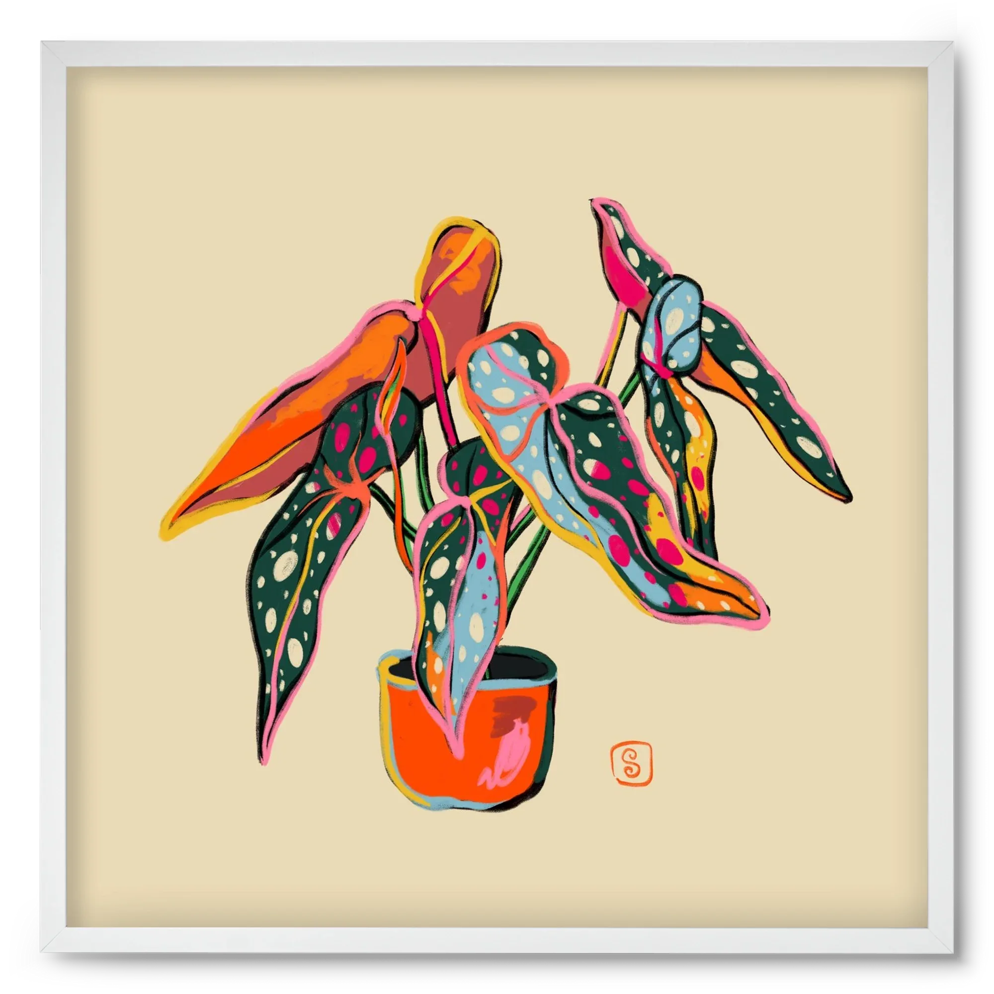 COLOURFUL BEGONIA PLANT - artbridge