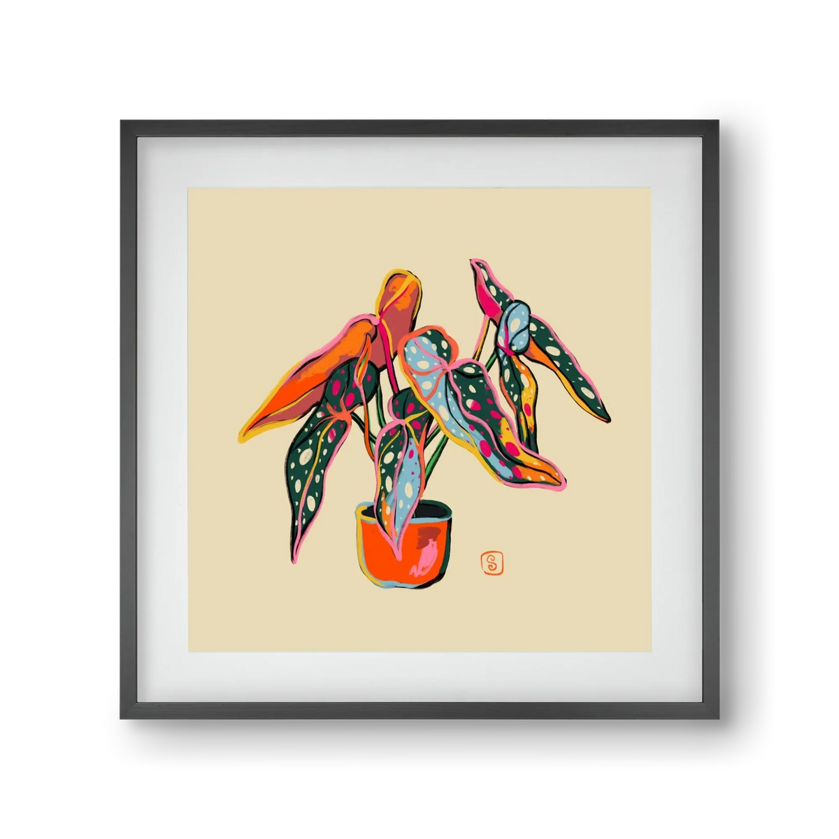 COLOURFUL BEGONIA PLANT - artbridge