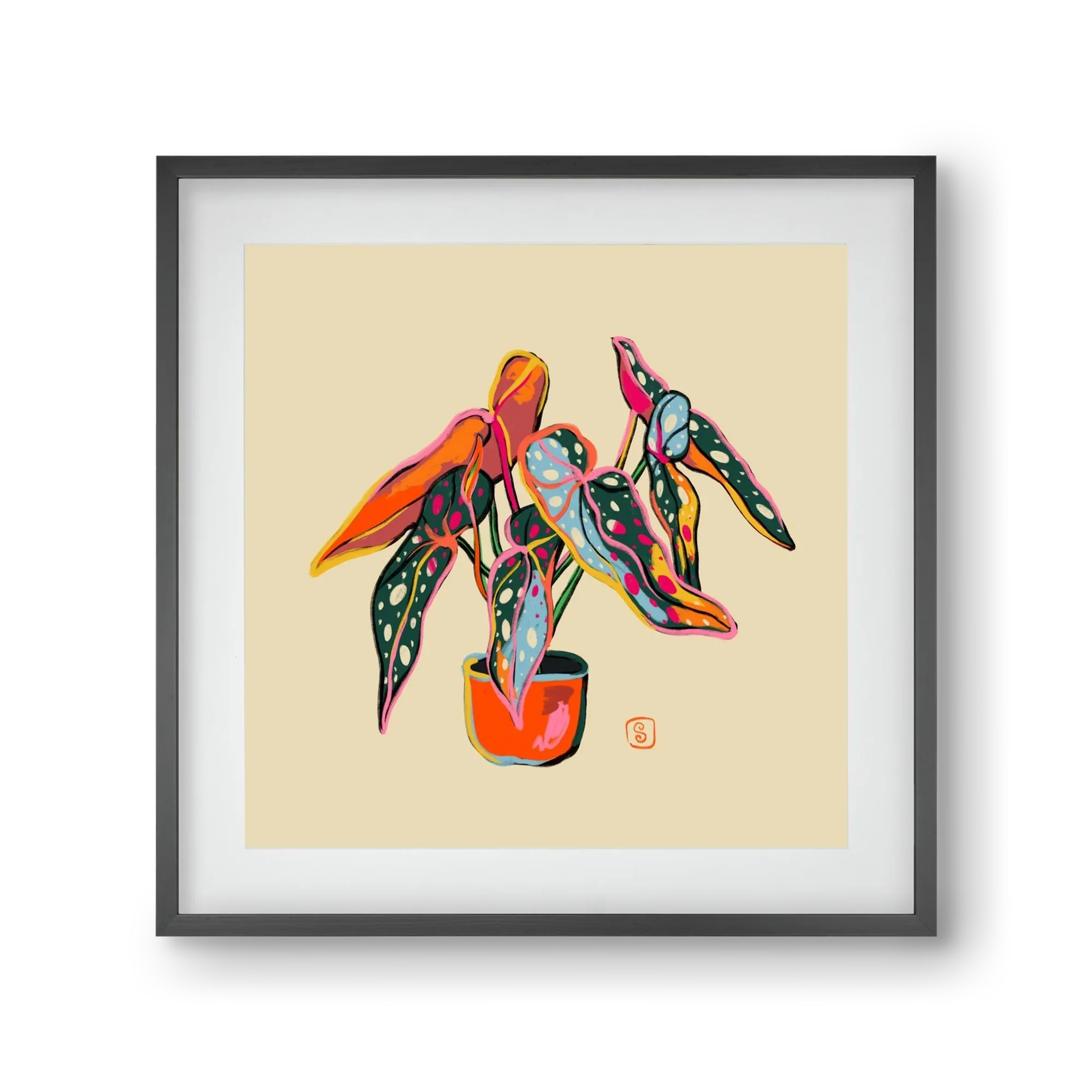 COLOURFUL BEGONIA PLANT - artbridge