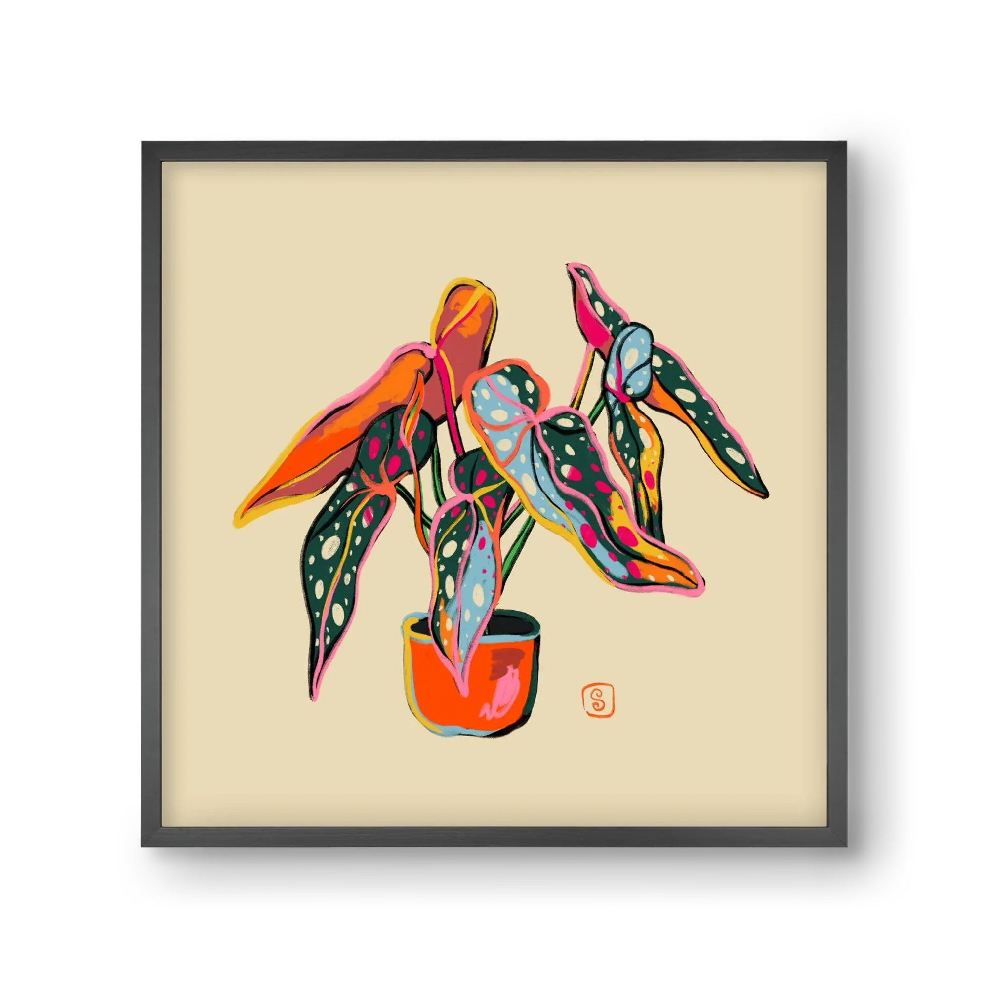COLOURFUL BEGONIA PLANT - artbridge