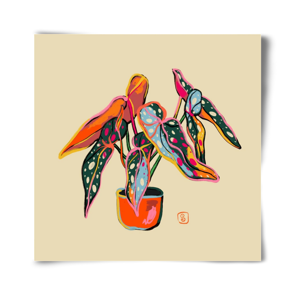 COLOURFUL BEGONIA PLANT - artbridge