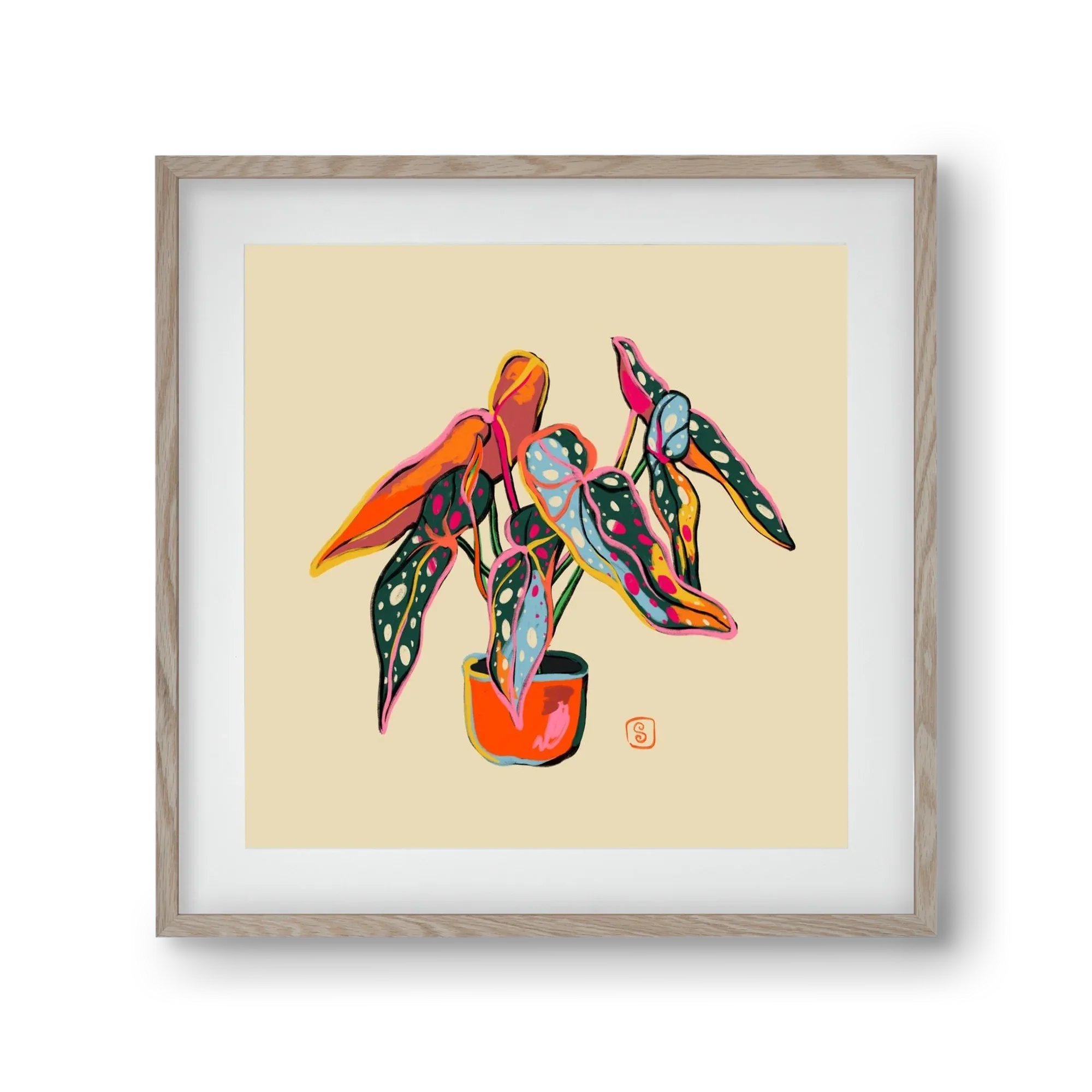 COLOURFUL BEGONIA PLANT - artbridge