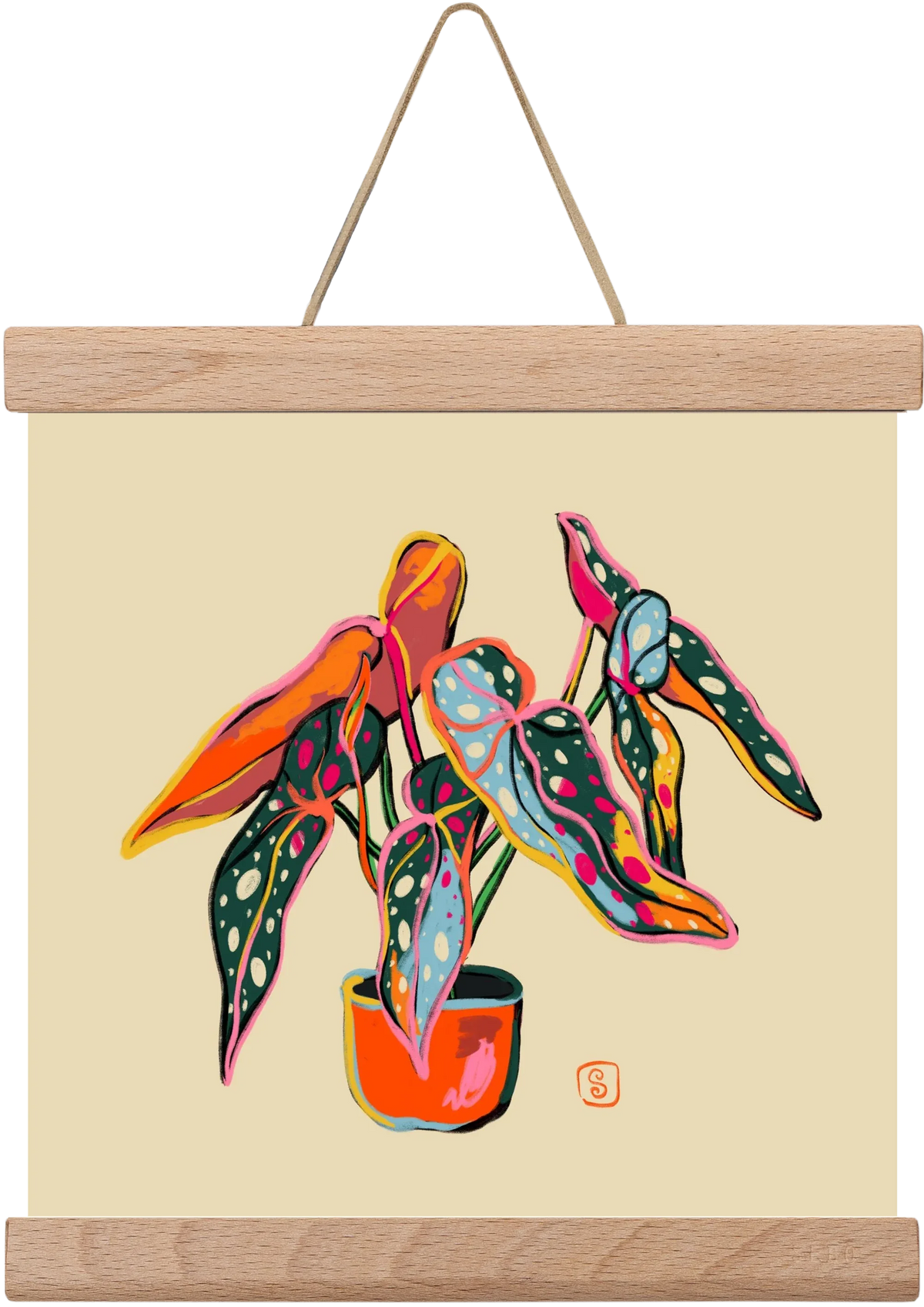COLOURFUL BEGONIA PLANT - artbridge