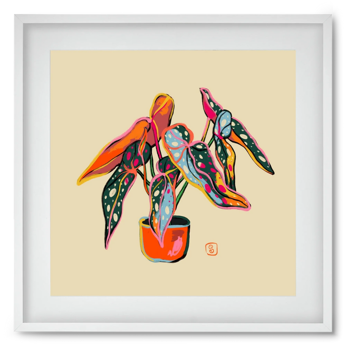 COLOURFUL BEGONIA PLANT - artbridge