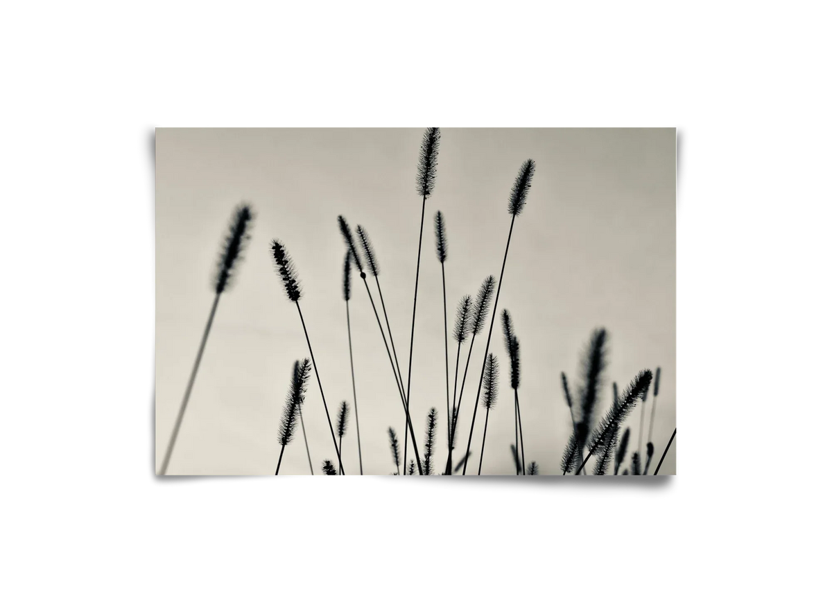 Cloud light - artbridge