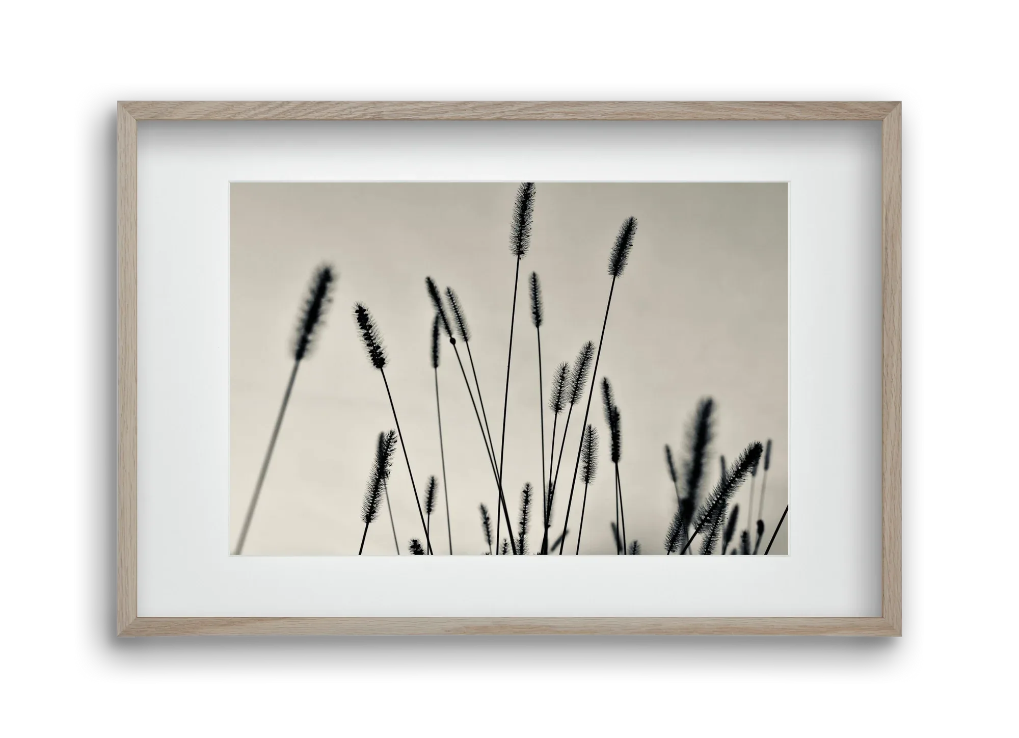 Cloud light - artbridge
